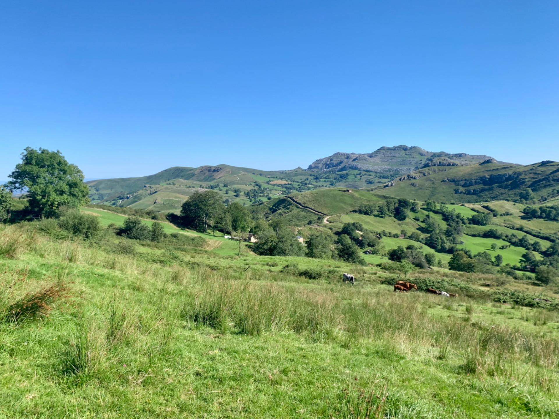 Casas o chalets-Venta-San Roque de Riomera	-1838497-Foto-52