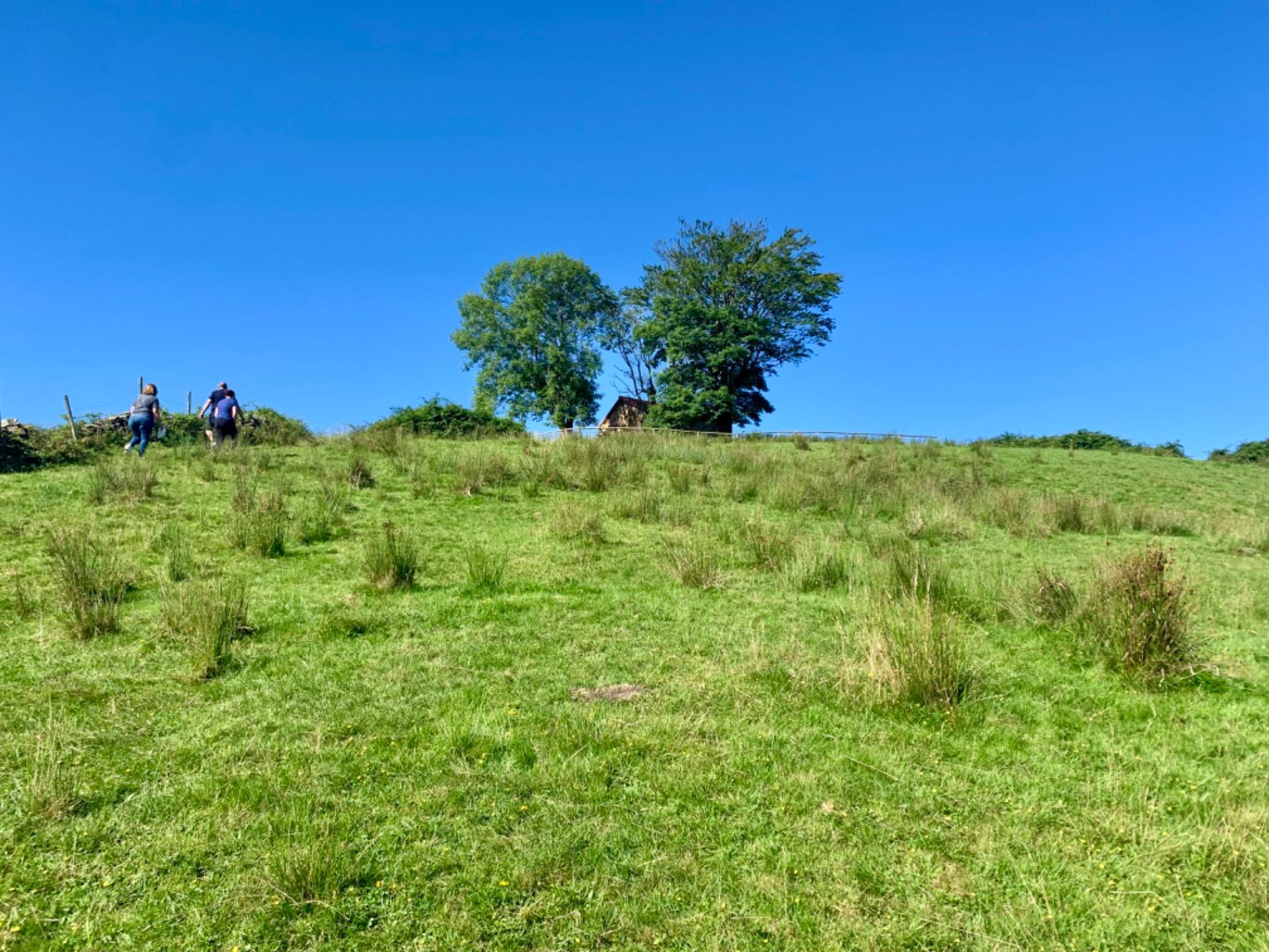 Casas o chalets-Venta-San Roque de Riomera	-1838497-Foto-54