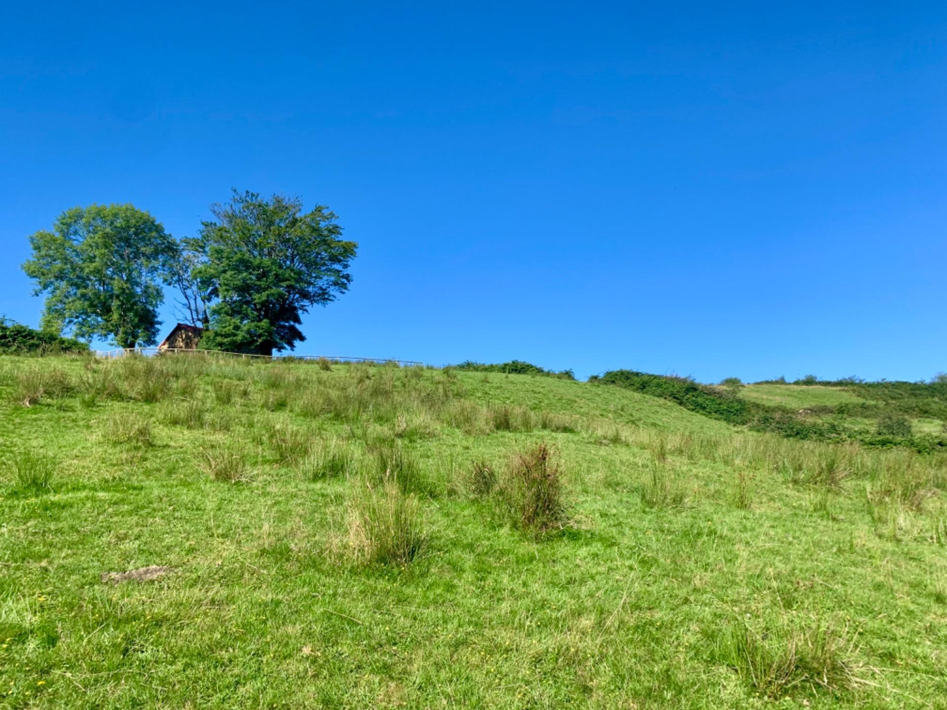 Casas o chalets-Venta-San Roque de Riomera	-1838497-Foto-53