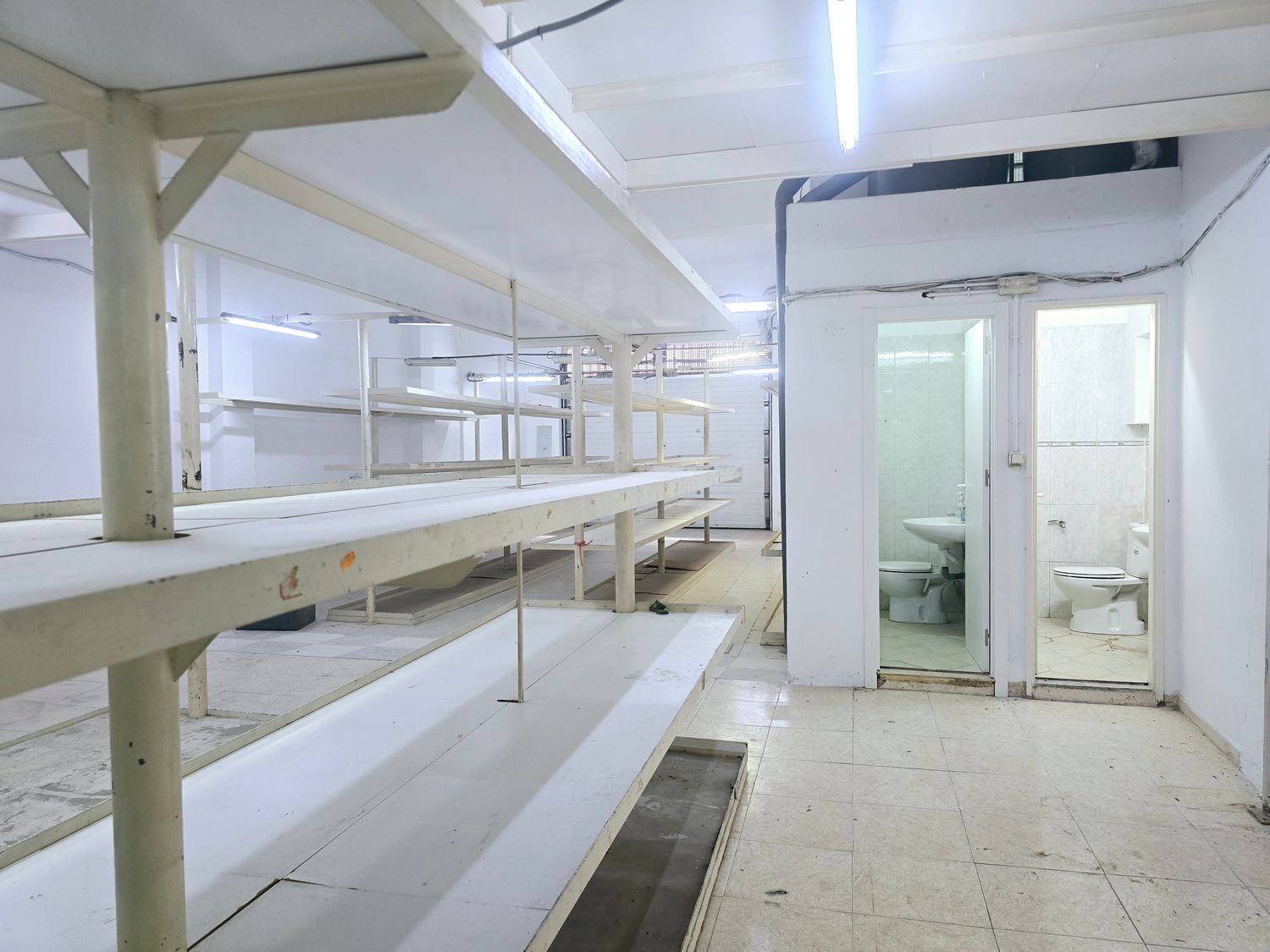 Locales-Venta-Las Palmas de Gran Canaria-2152693-Foto-31