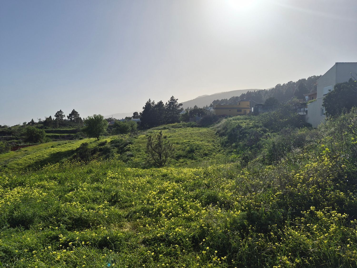 Fincas y solares-Venta-2152696