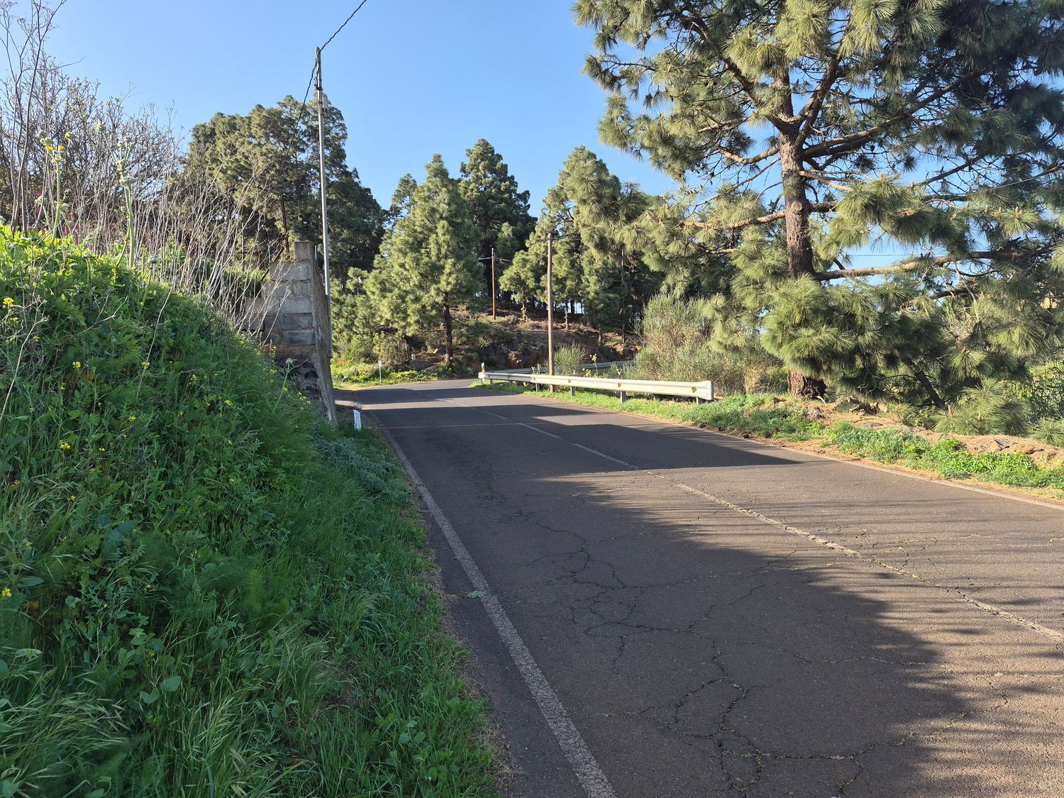 Fincas y solares-Venta-El Rosario-2152696-Foto-5