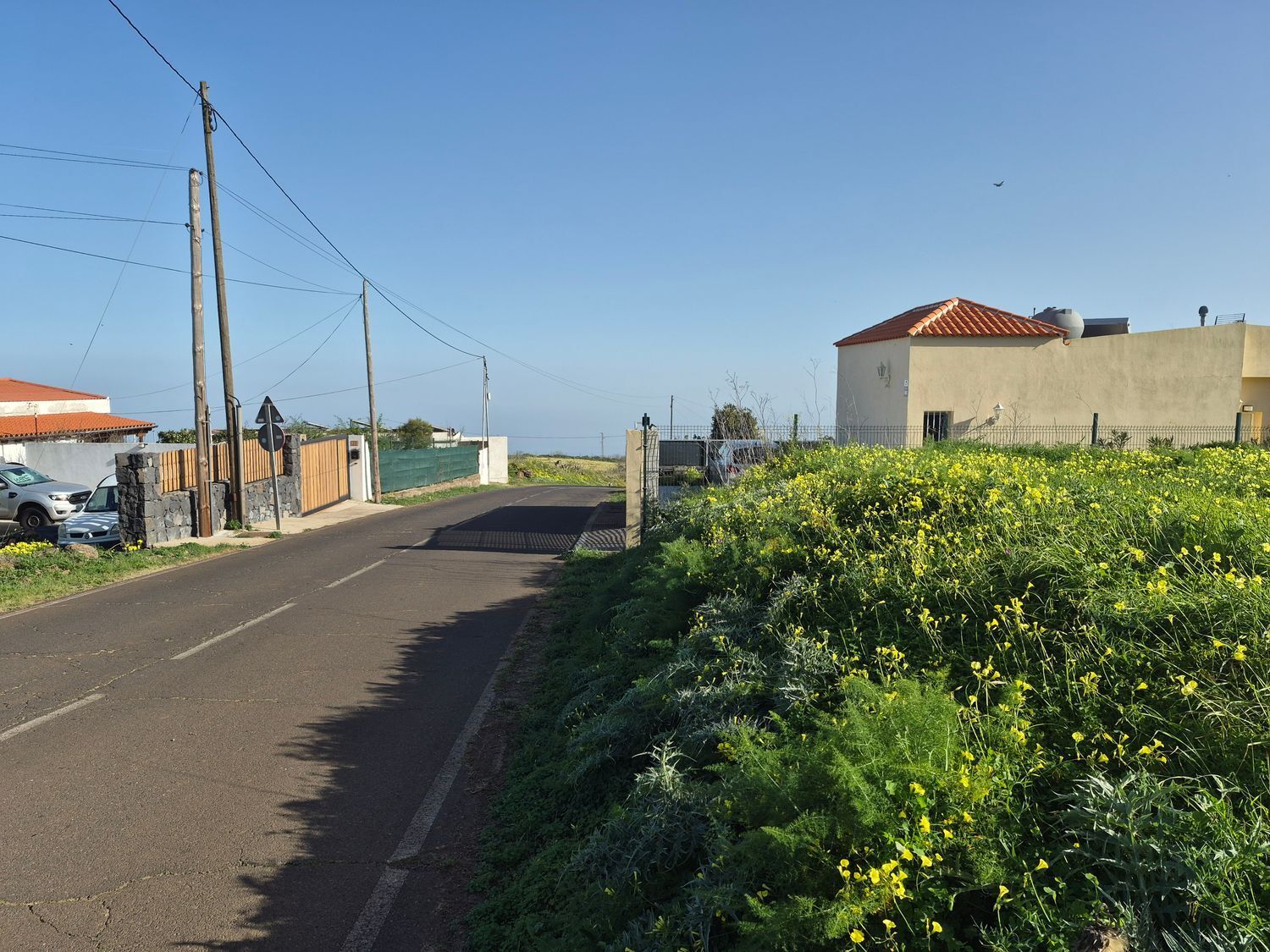 Fincas y solares-Venta-El Rosario-2152699-Foto-4