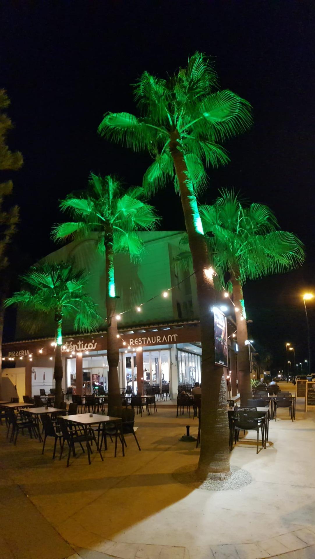 Negocios-Alquiler-AlcÃºdia-2015650-Foto-16