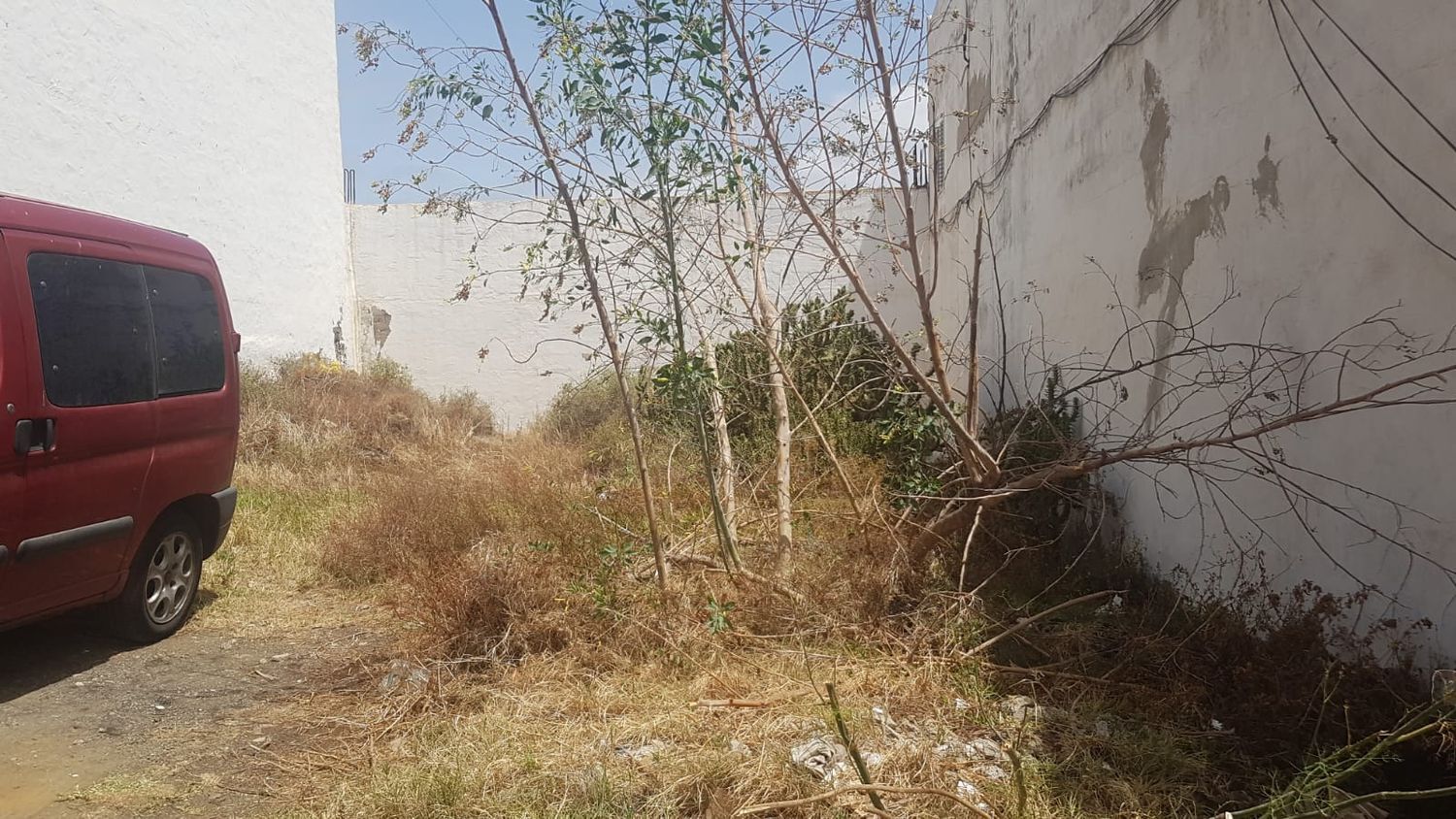 Fincas y solares-Venta-Telde-2152839-Foto-4