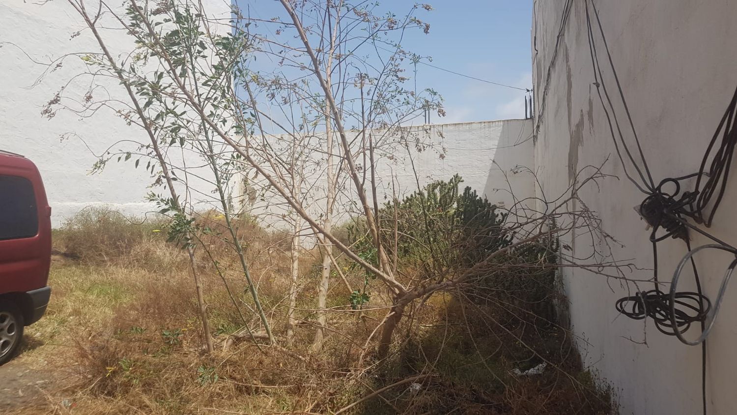 Fincas y solares-Venta-Telde-2152839-Foto-7