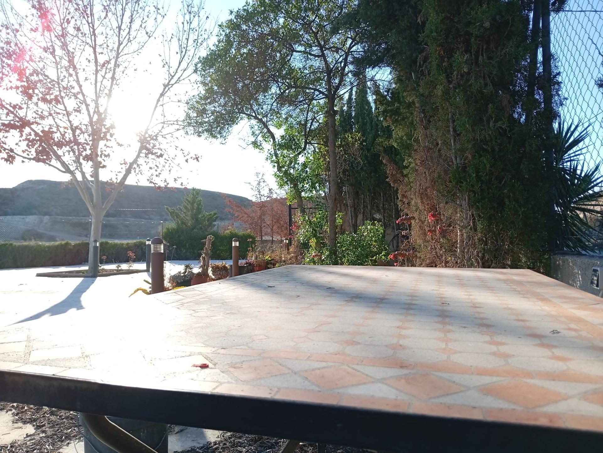 Casas o chalets-Venta-Fortuna-2043492-Foto-15