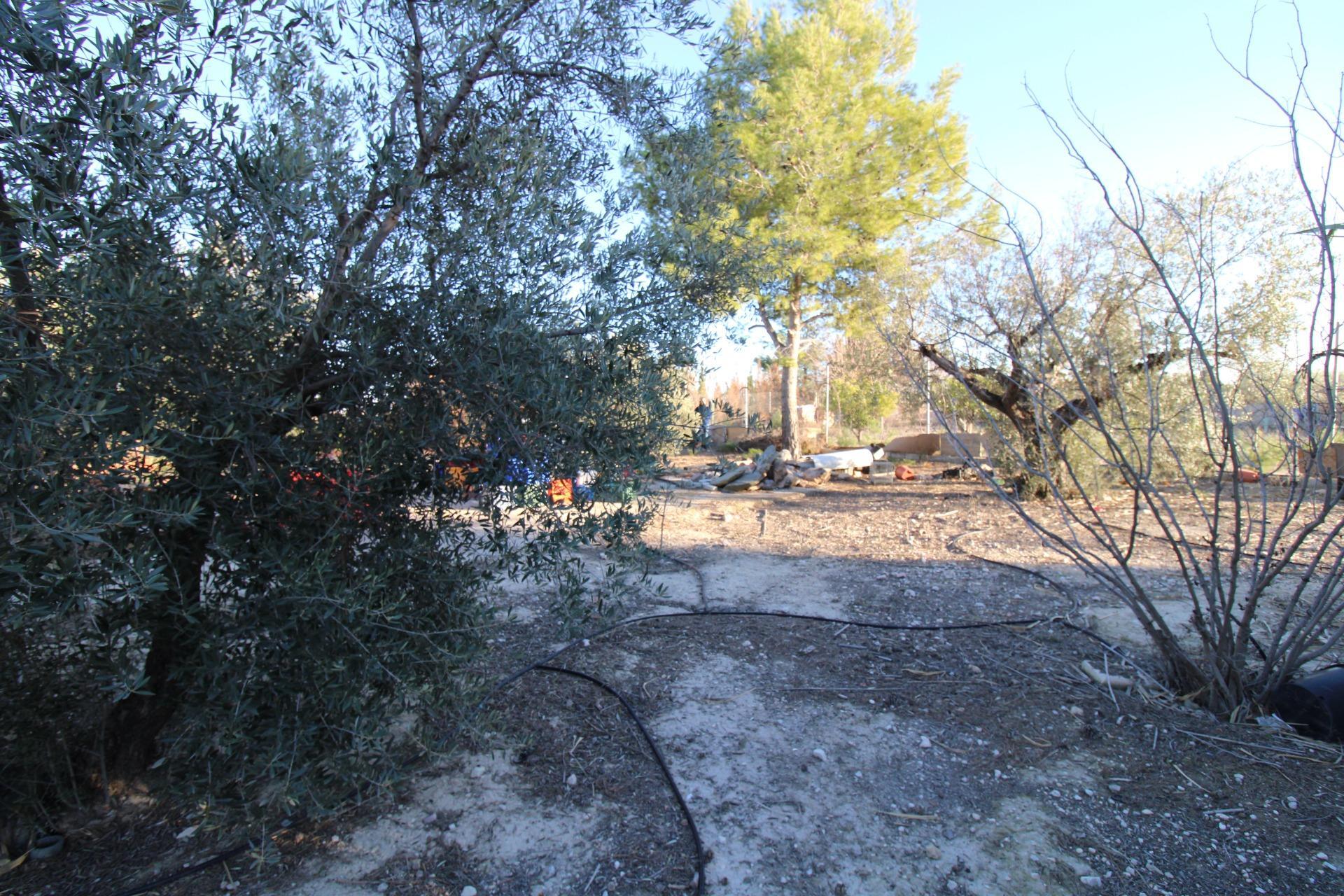 Casas o chalets-Venta-Fortuna-2043492-Foto-16