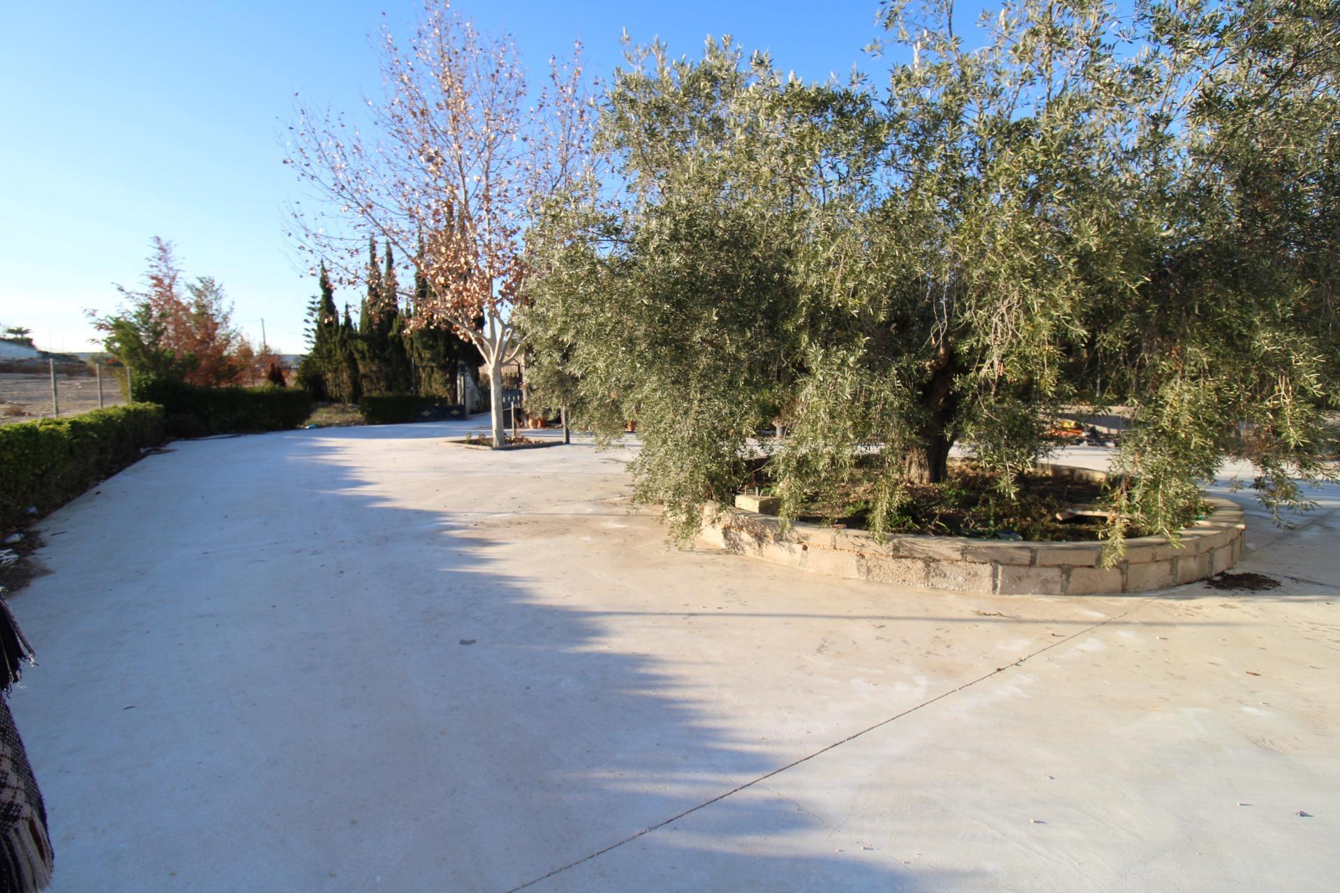 Casas o chalets-Venta-Fortuna-2043492-Foto-21