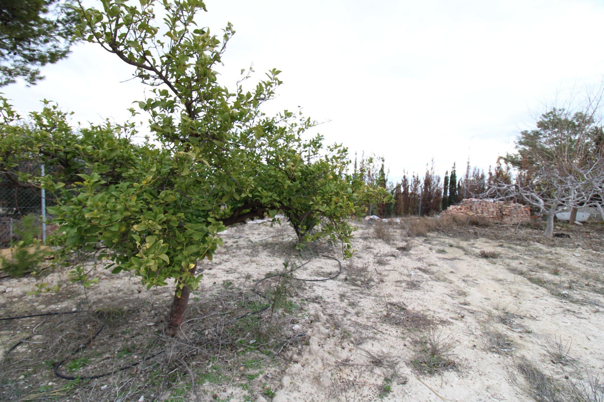 Casas o chalets-Venta-Fortuna-2043492-Foto-61