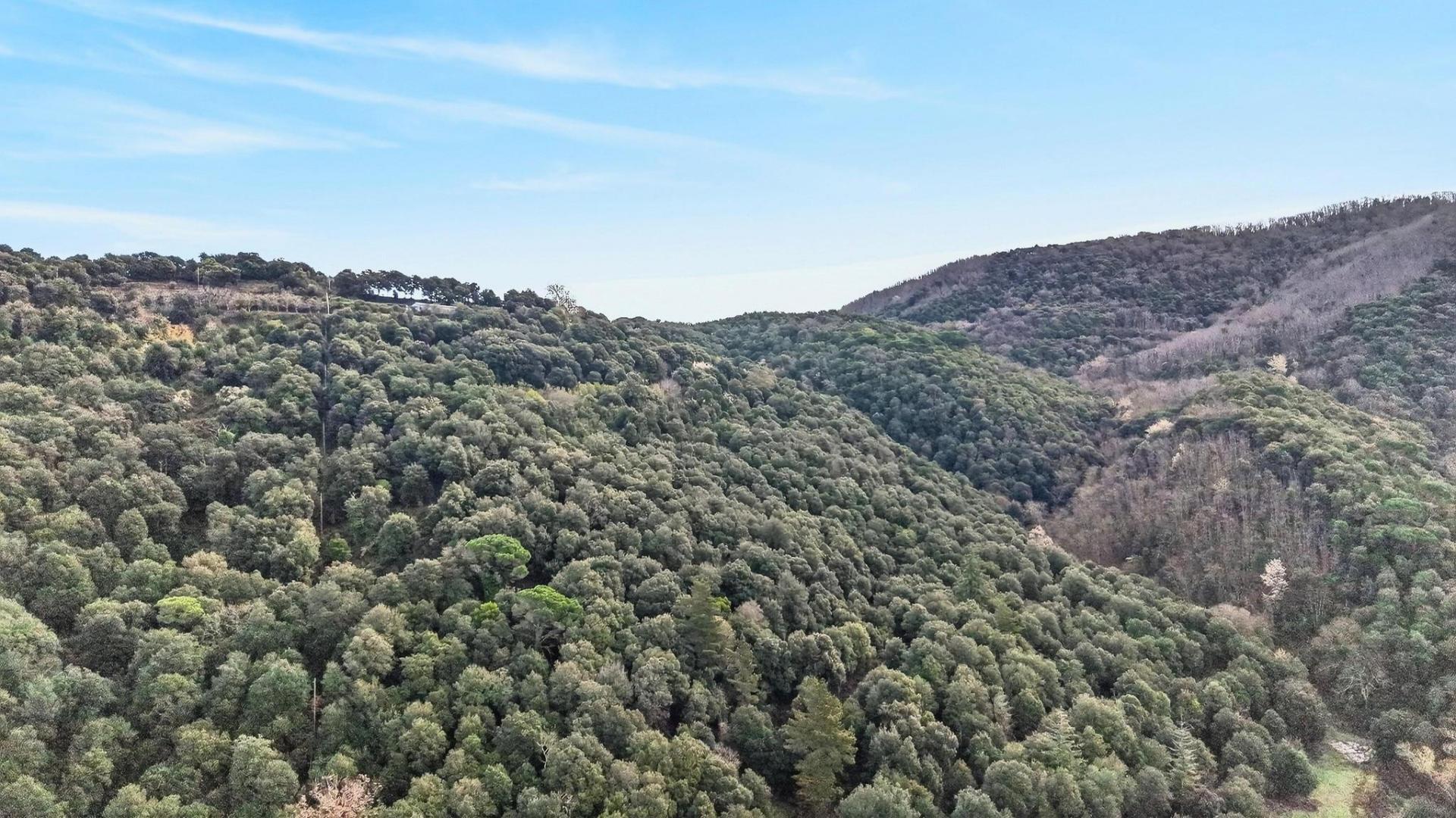 Casas o chalets-Venta-Sant Celoni-2045440-Foto-49