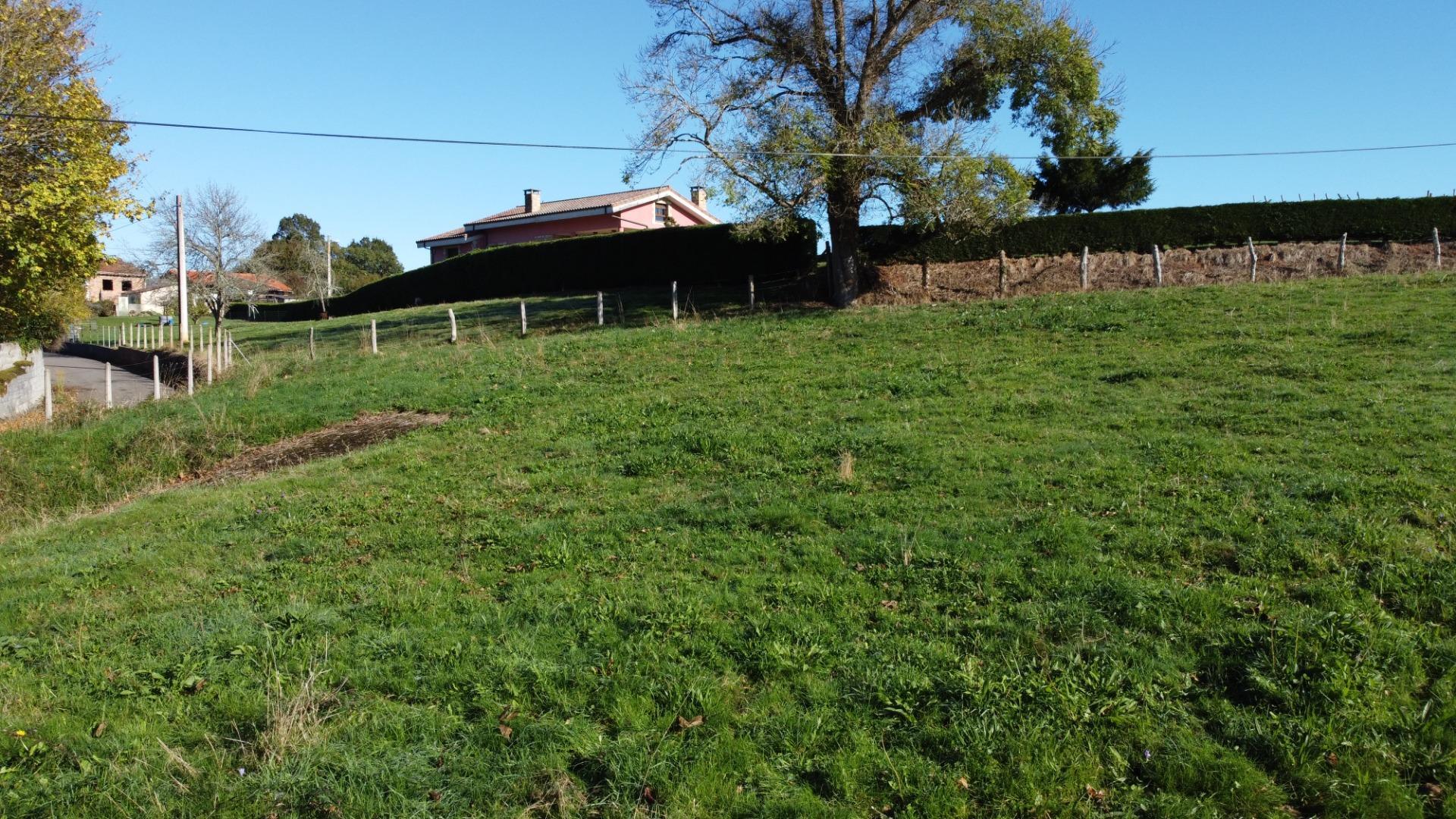 Fincas y solares-Venta-Las Navas del MarquÃ©s-1941489-Foto-4