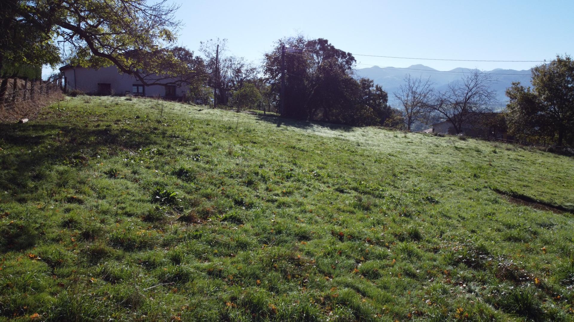 Fincas y solares-Venta-Las Navas del MarquÃ©s-1941489-Foto-5