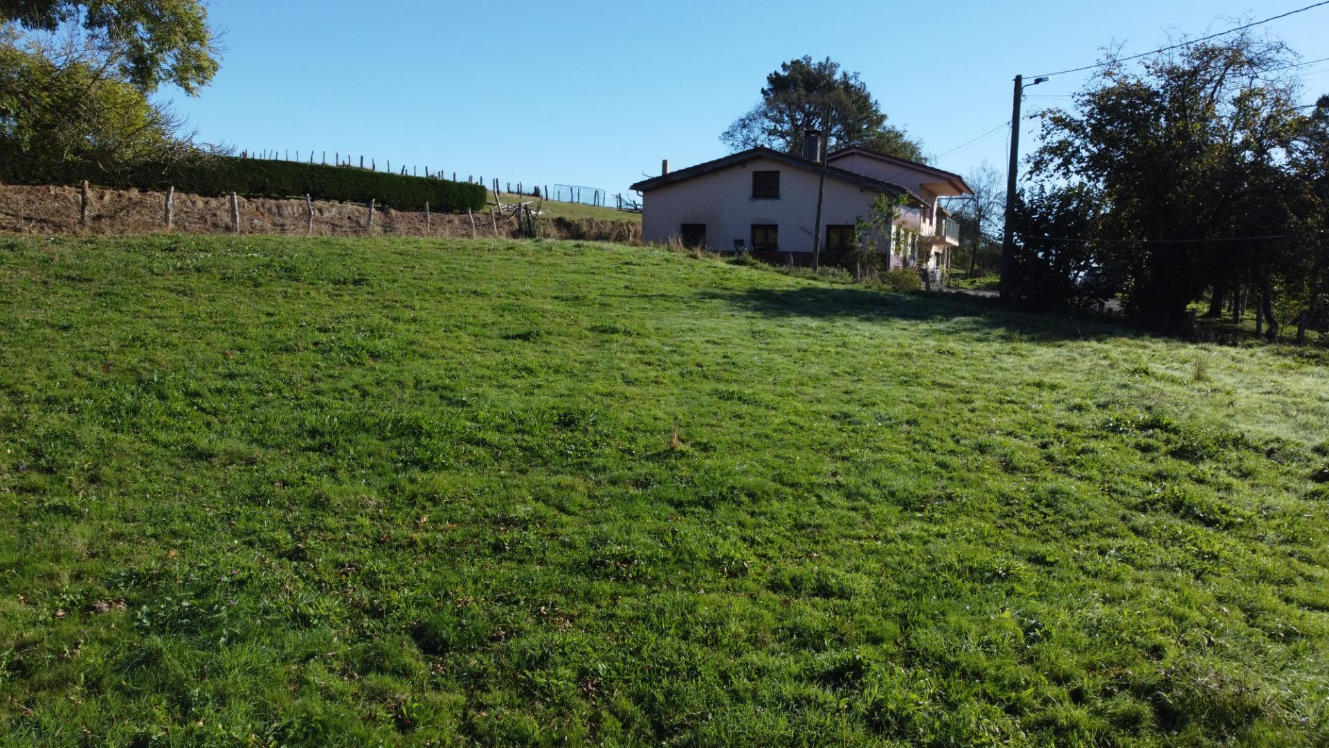 Fincas y solares-Venta-Las Navas del MarquÃ©s-1941489-Foto-9