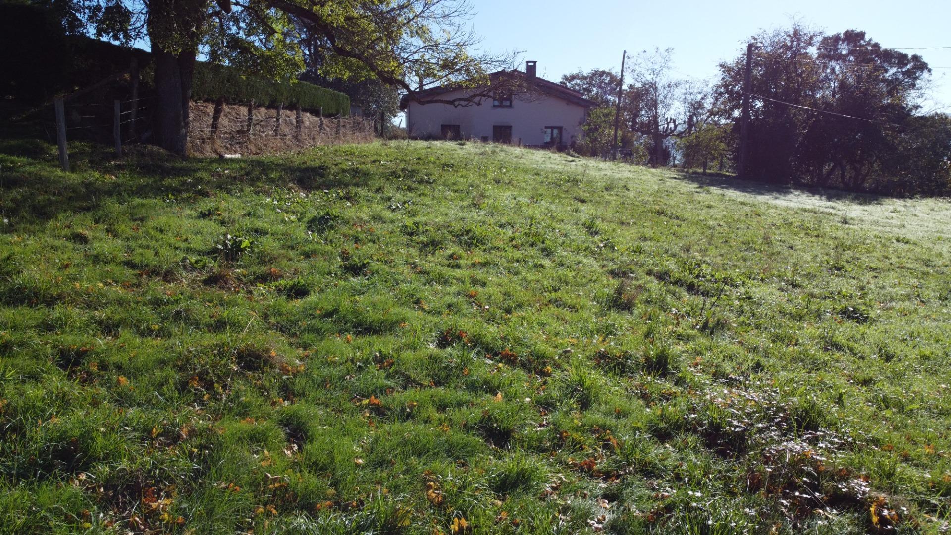 Fincas y solares-Venta-Las Navas del MarquÃ©s-1941489-Foto-11