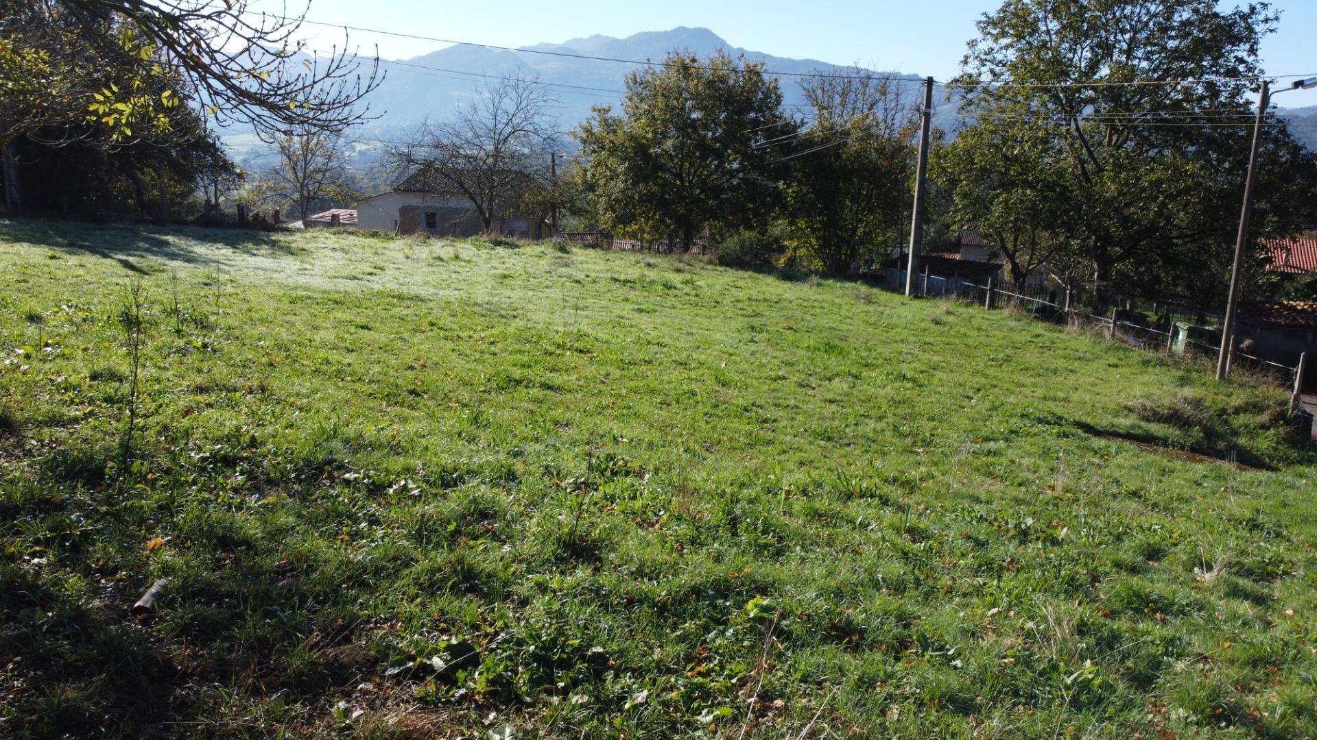 Fincas y solares-Venta-Las Navas del MarquÃ©s-1941489-Foto-12