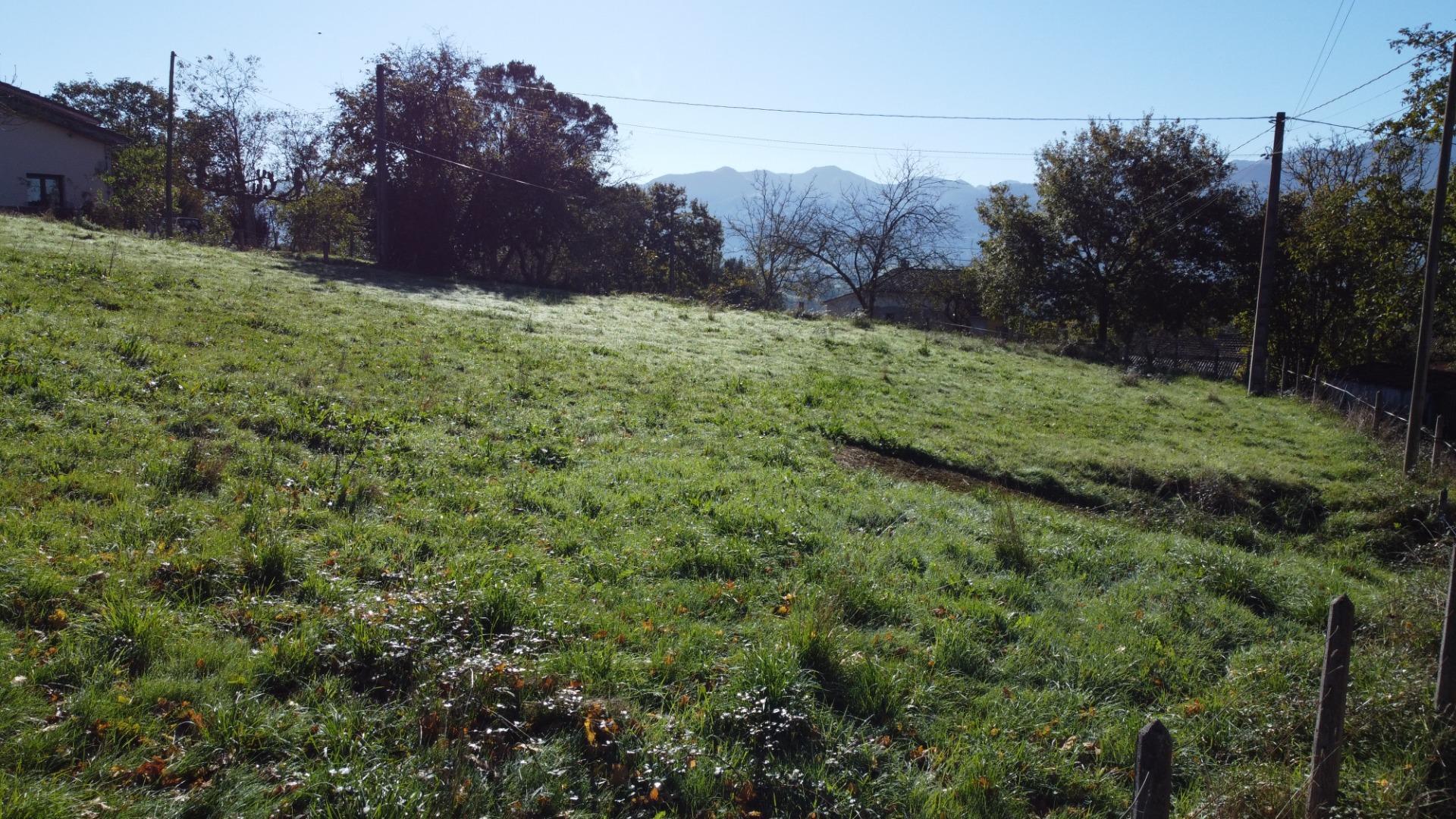 Fincas y solares-Venta-Las Navas del MarquÃ©s-1941489-Foto-13
