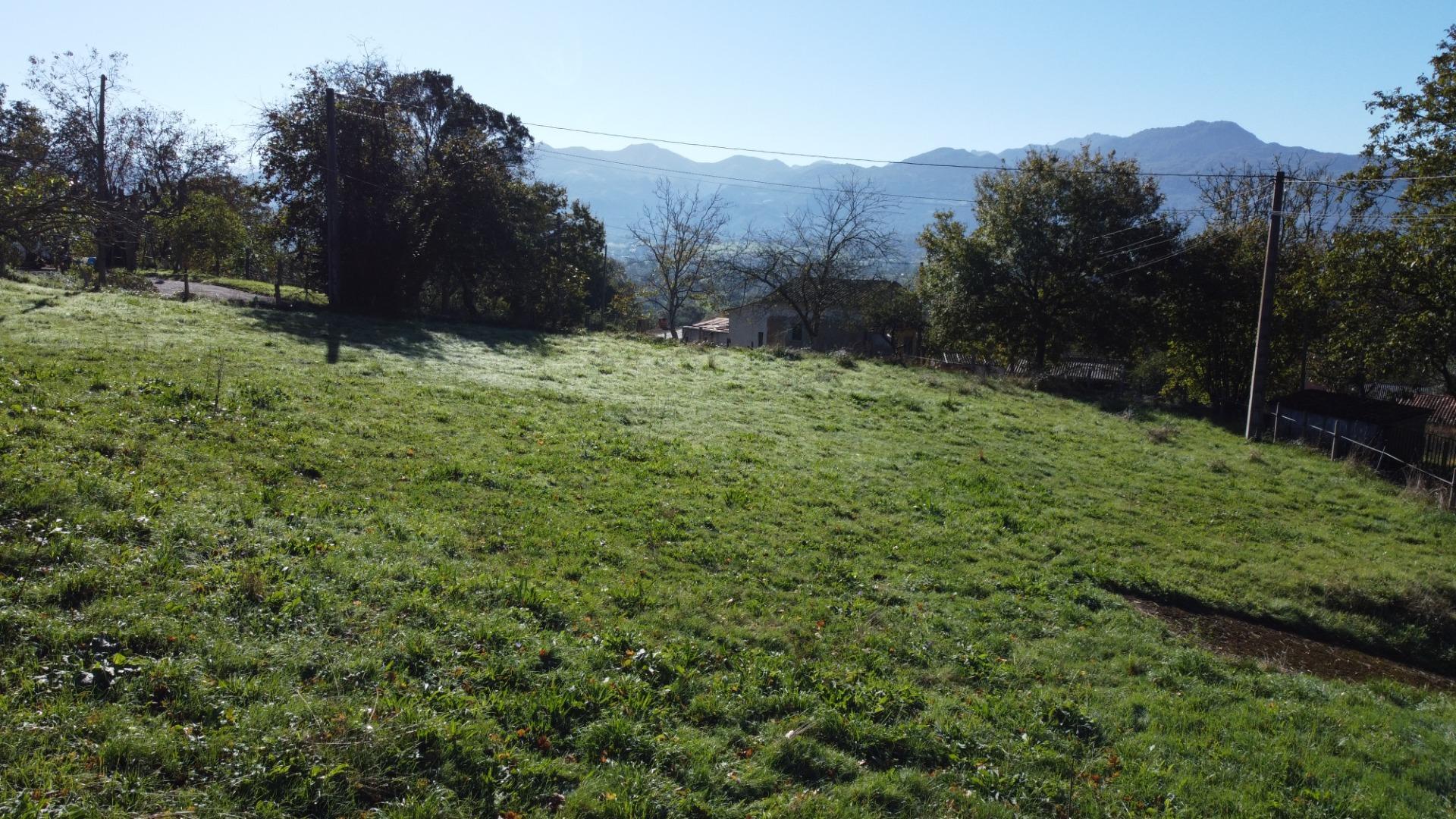 Fincas y solares-Venta-Las Navas del MarquÃ©s-1941489-Foto-14