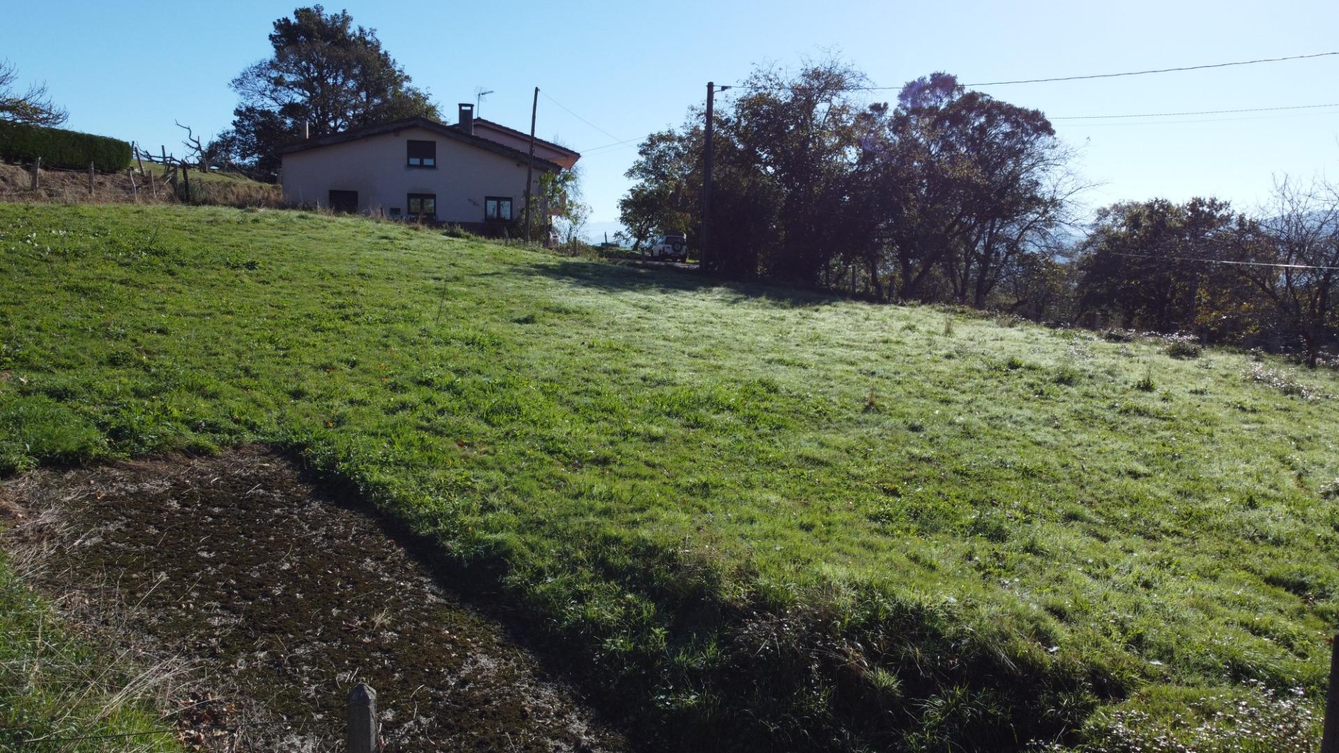 Fincas y solares-Venta-Las Navas del MarquÃ©s-1941489-Foto-19