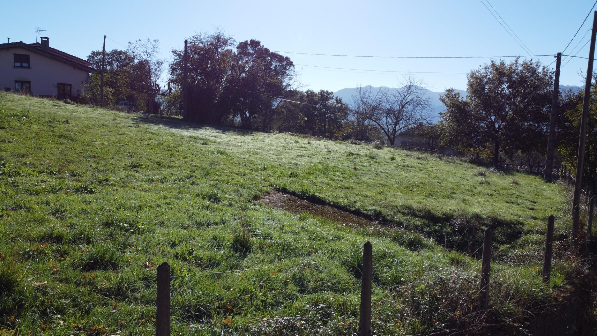 Fincas y solares-Venta-Las Navas del MarquÃ©s-1941489-Foto-18