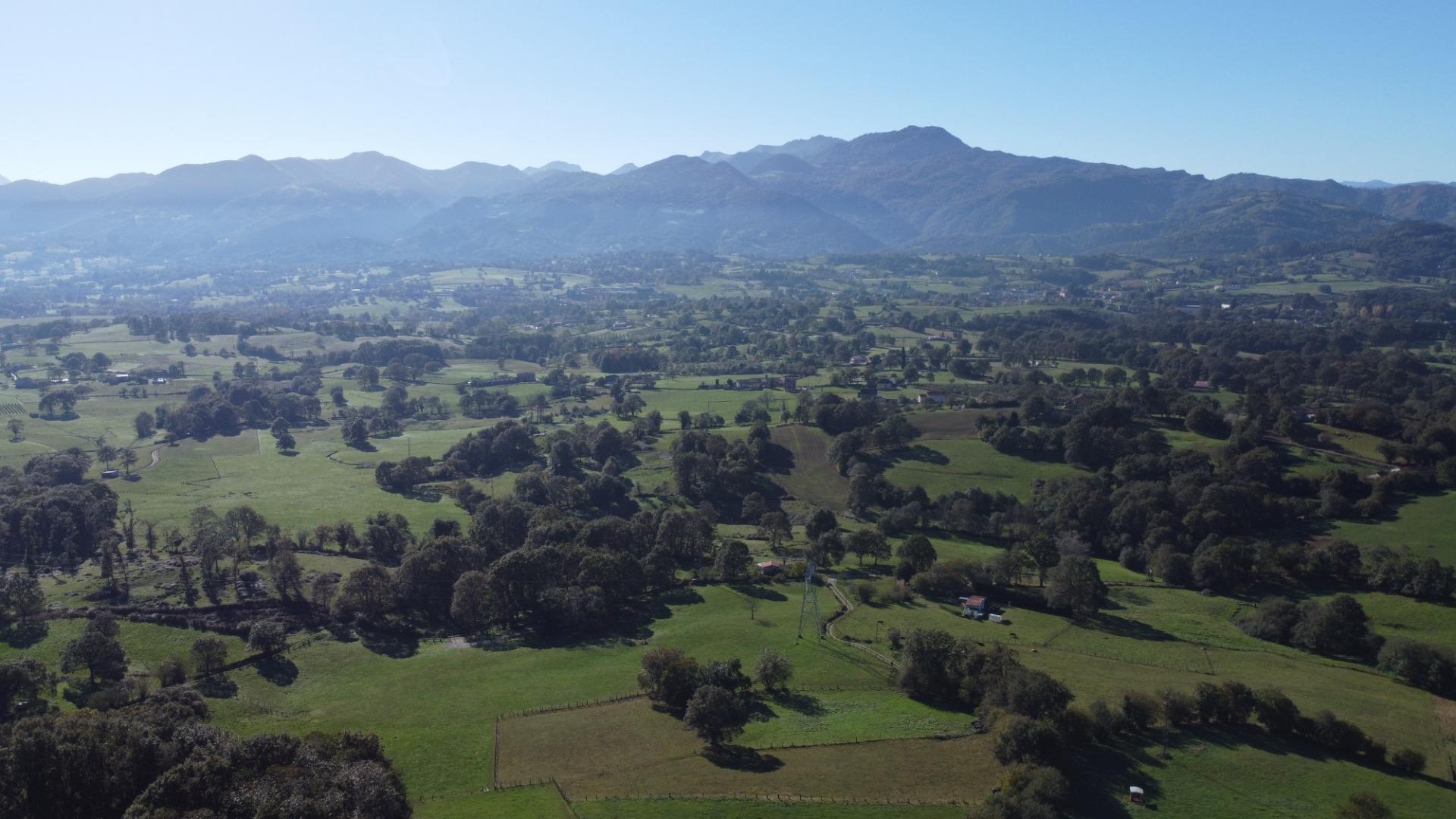 Fincas y solares-Venta-Las Navas del MarquÃ©s-1941489-Foto-25