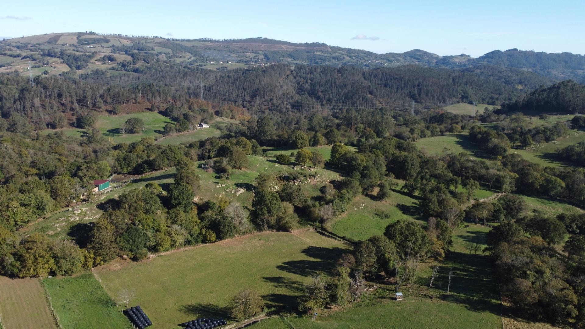 Fincas y solares-Venta-Las Navas del MarquÃ©s-1941489-Foto-26