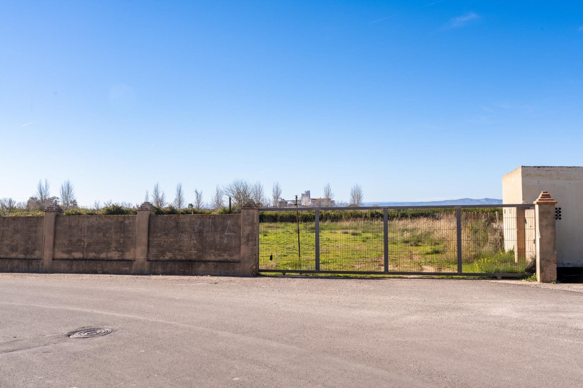 Fincas y solares-Venta-Albalat de la Ribera-2153069-Foto-3