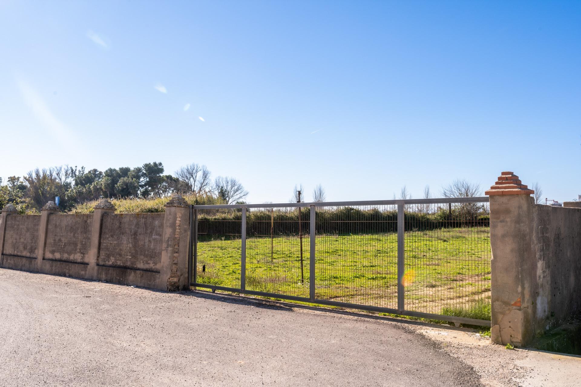 Fincas y solares-Venta-Albalat de la Ribera-2153069