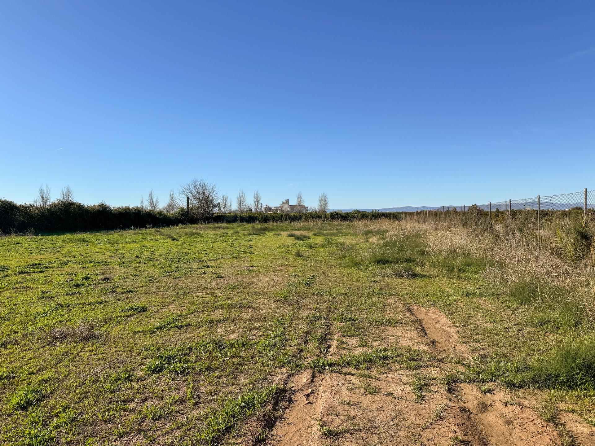 Fincas y solares-Venta-Albalat de la Ribera-2153069-Foto-5