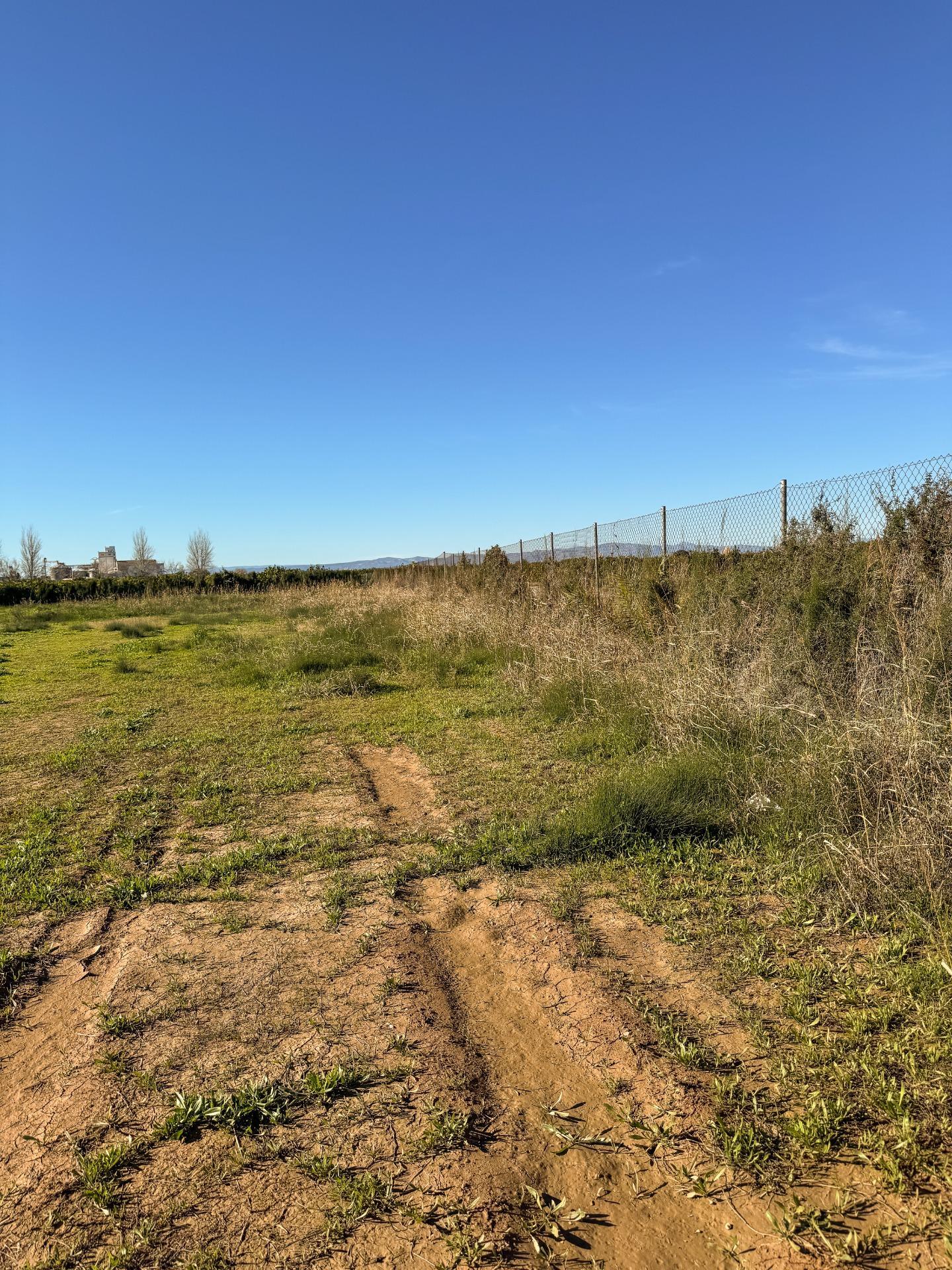 Fincas y solares-Venta-Albalat de la Ribera-2153069-Foto-10