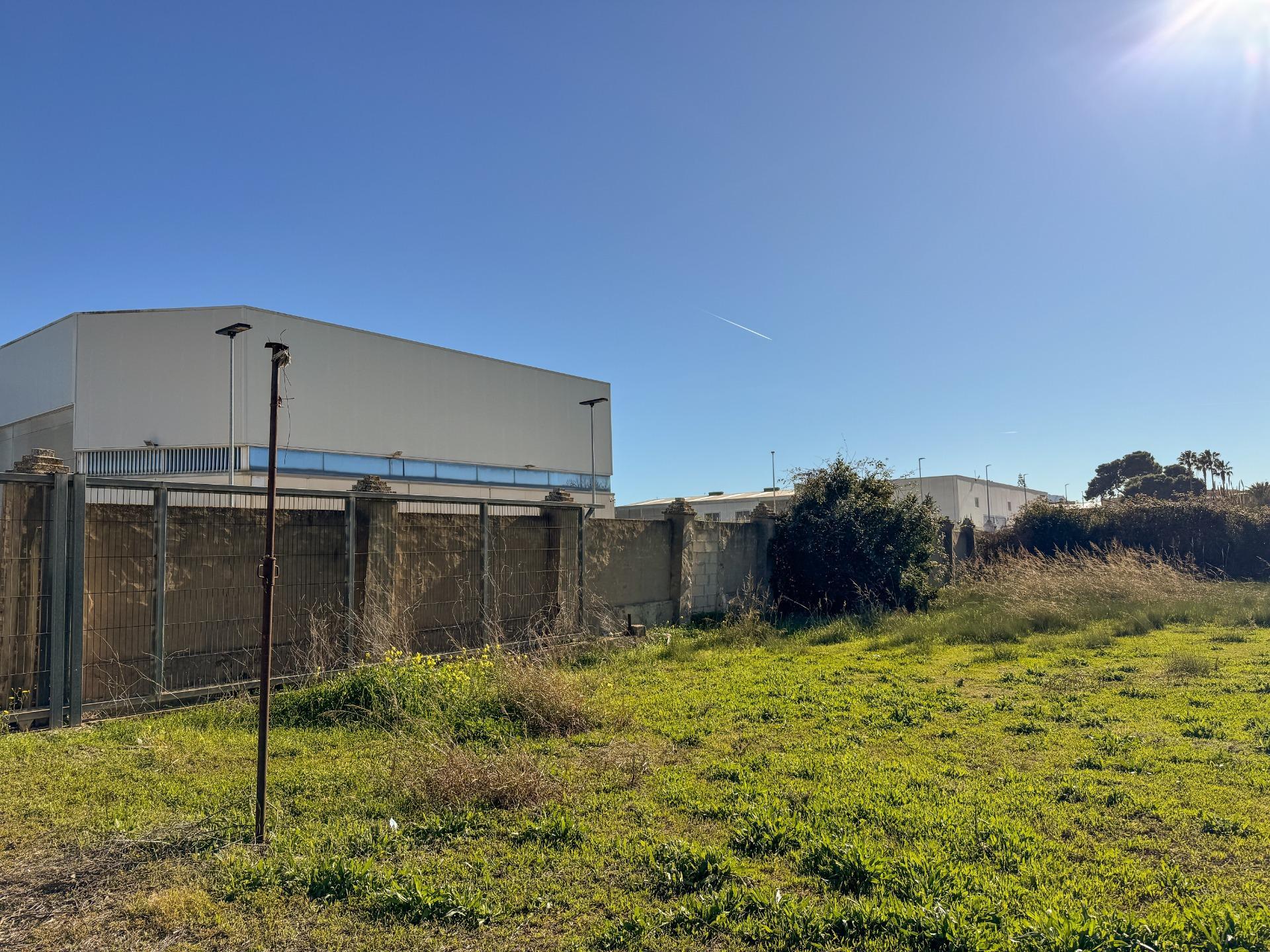 Fincas y solares-Venta-Albalat de la Ribera-2153069-Foto-6