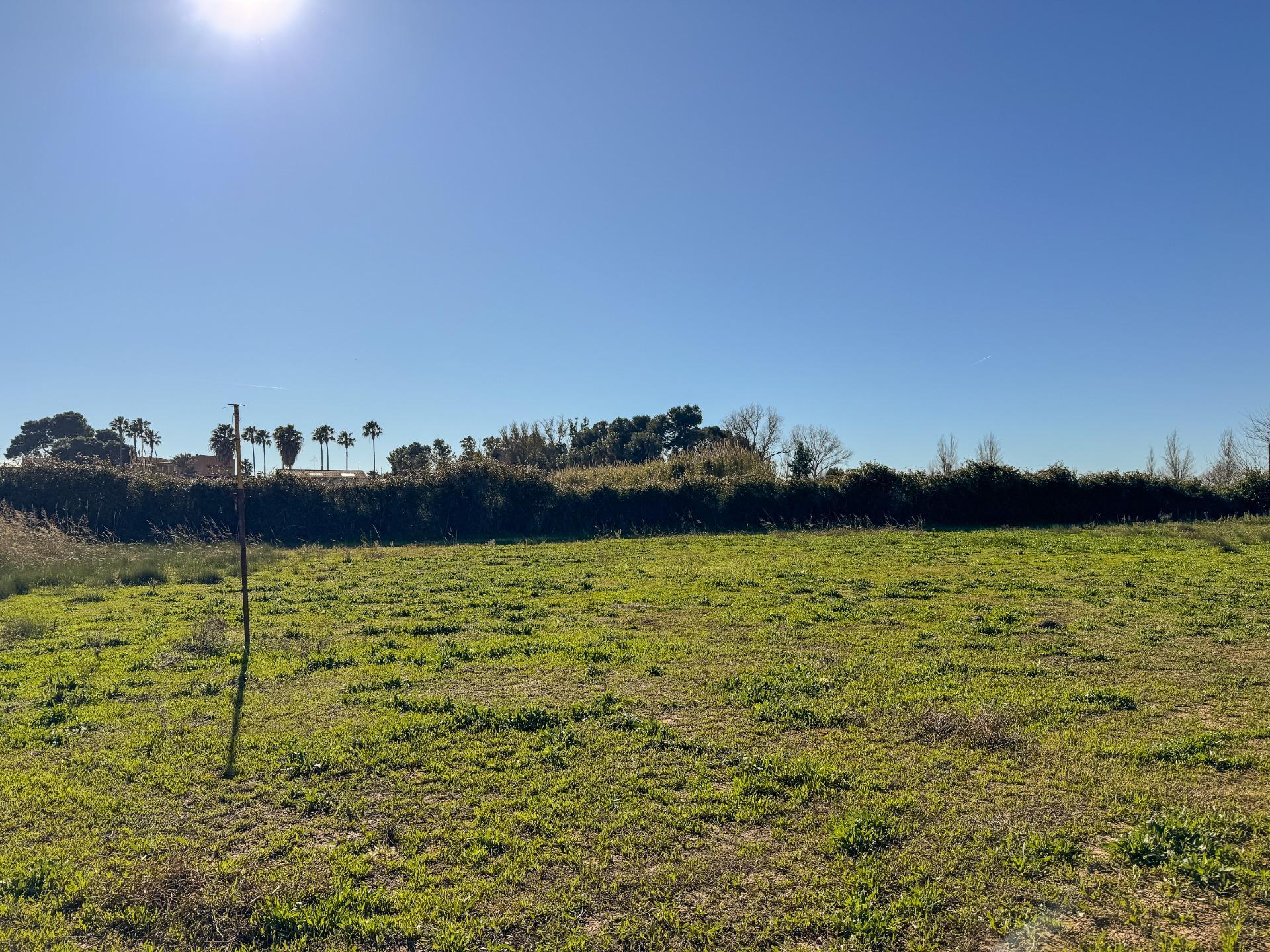 Fincas y solares-Venta-Albalat de la Ribera-2153069-Foto-8