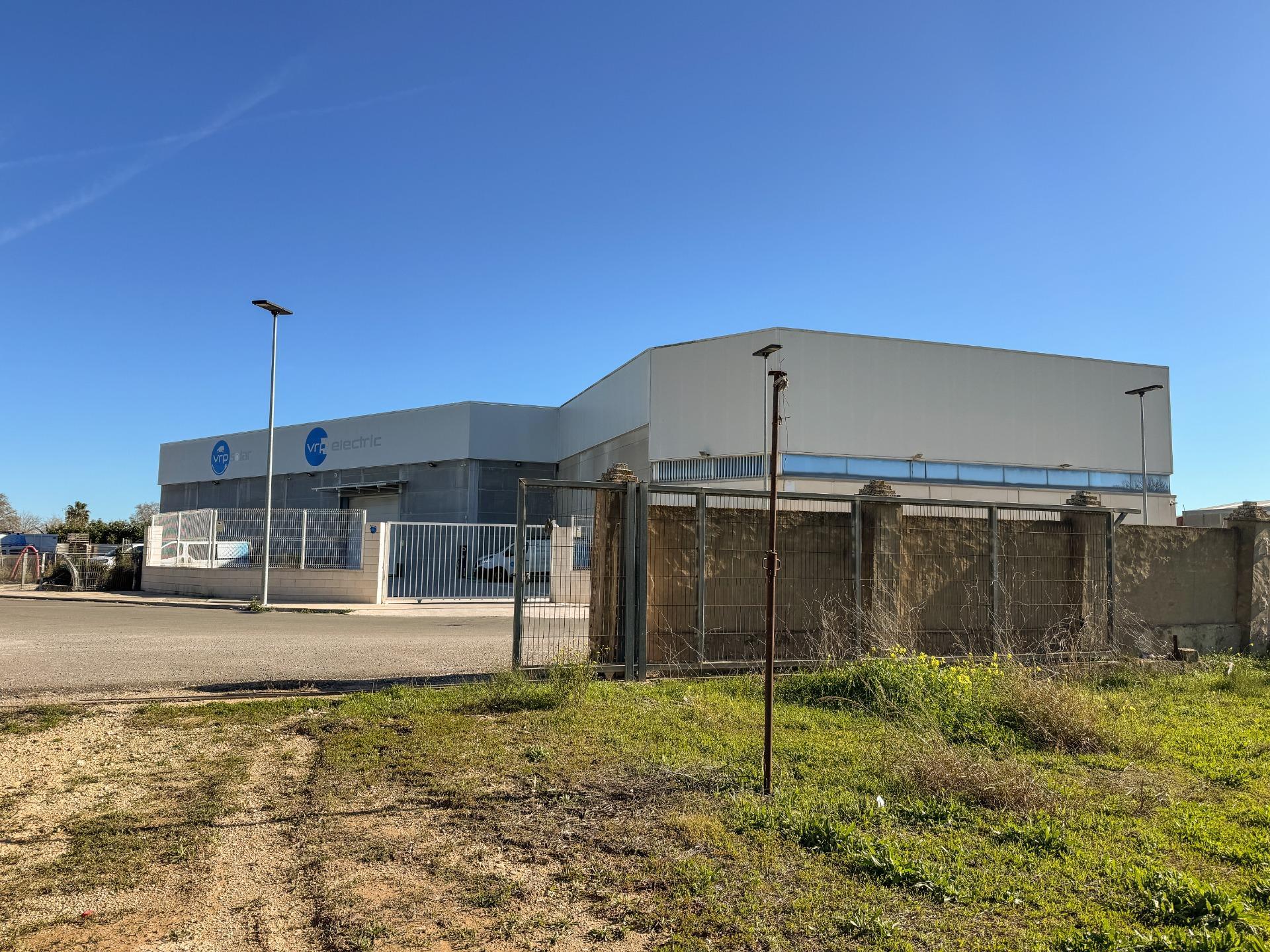 Fincas y solares-Venta-Albalat de la Ribera-2153069-Foto-7