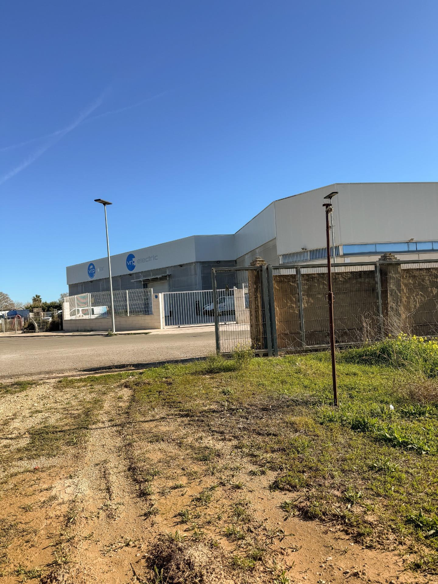 Fincas y solares-Venta-Albalat de la Ribera-2153069-Foto-9