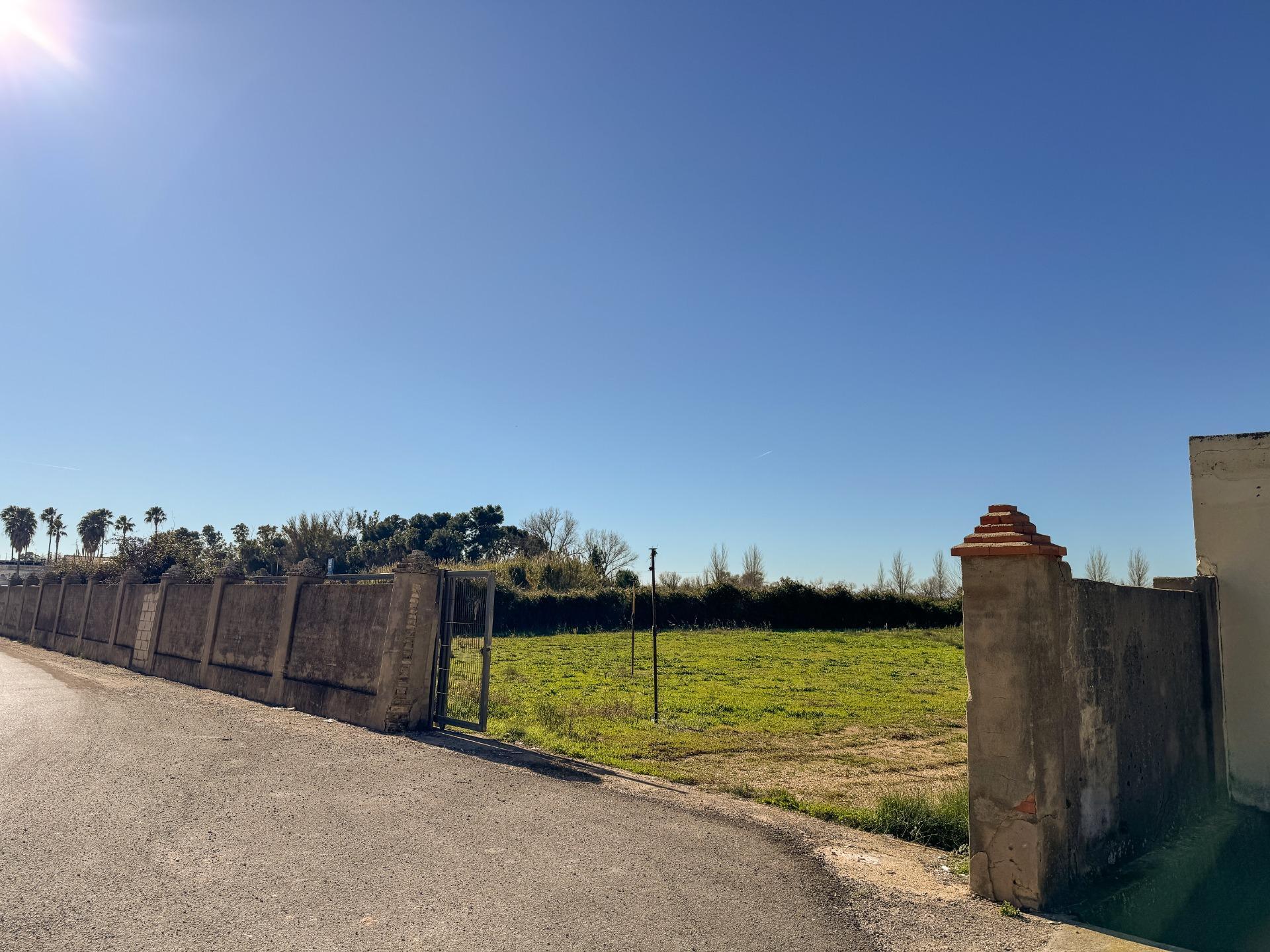 Fincas y solares-Venta-Albalat de la Ribera-2153069-Foto-13