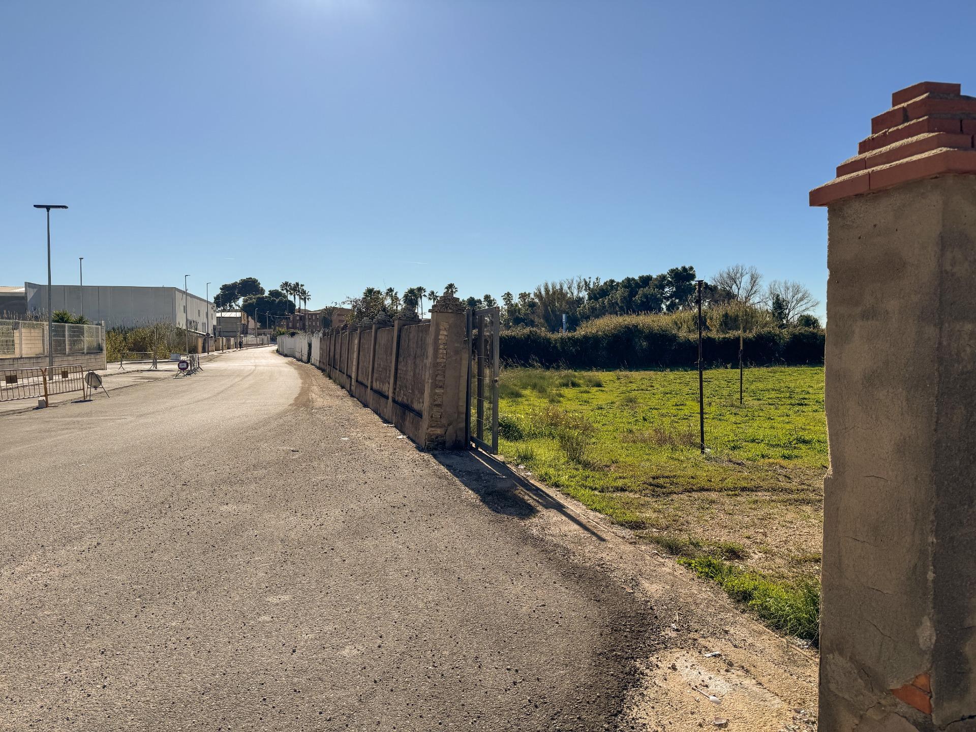 Fincas y solares-Venta-Albalat de la Ribera-2153069-Foto-15