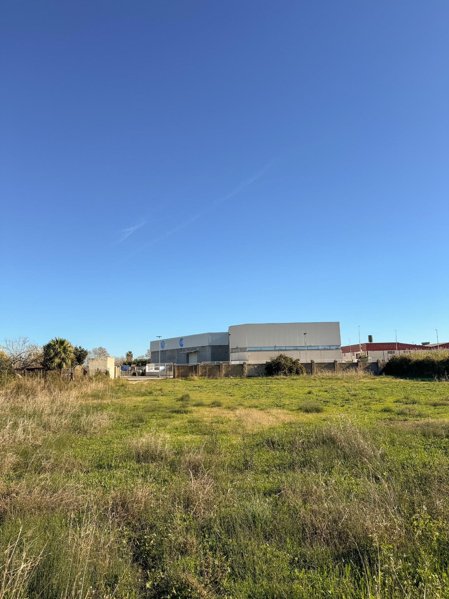 Fincas y solares-Venta-Albalat de la Ribera-2153069-Foto-21