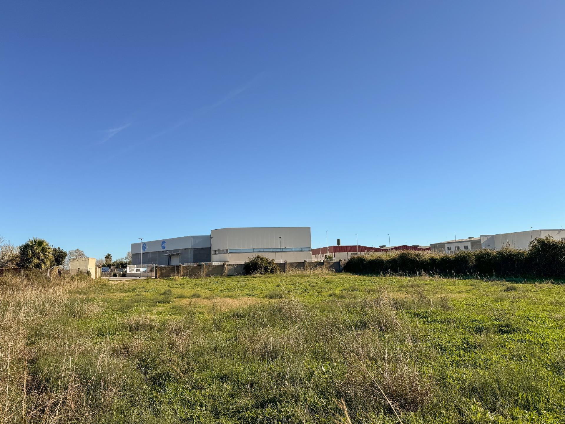 Fincas y solares-Venta-Albalat de la Ribera-2153069-Foto-23