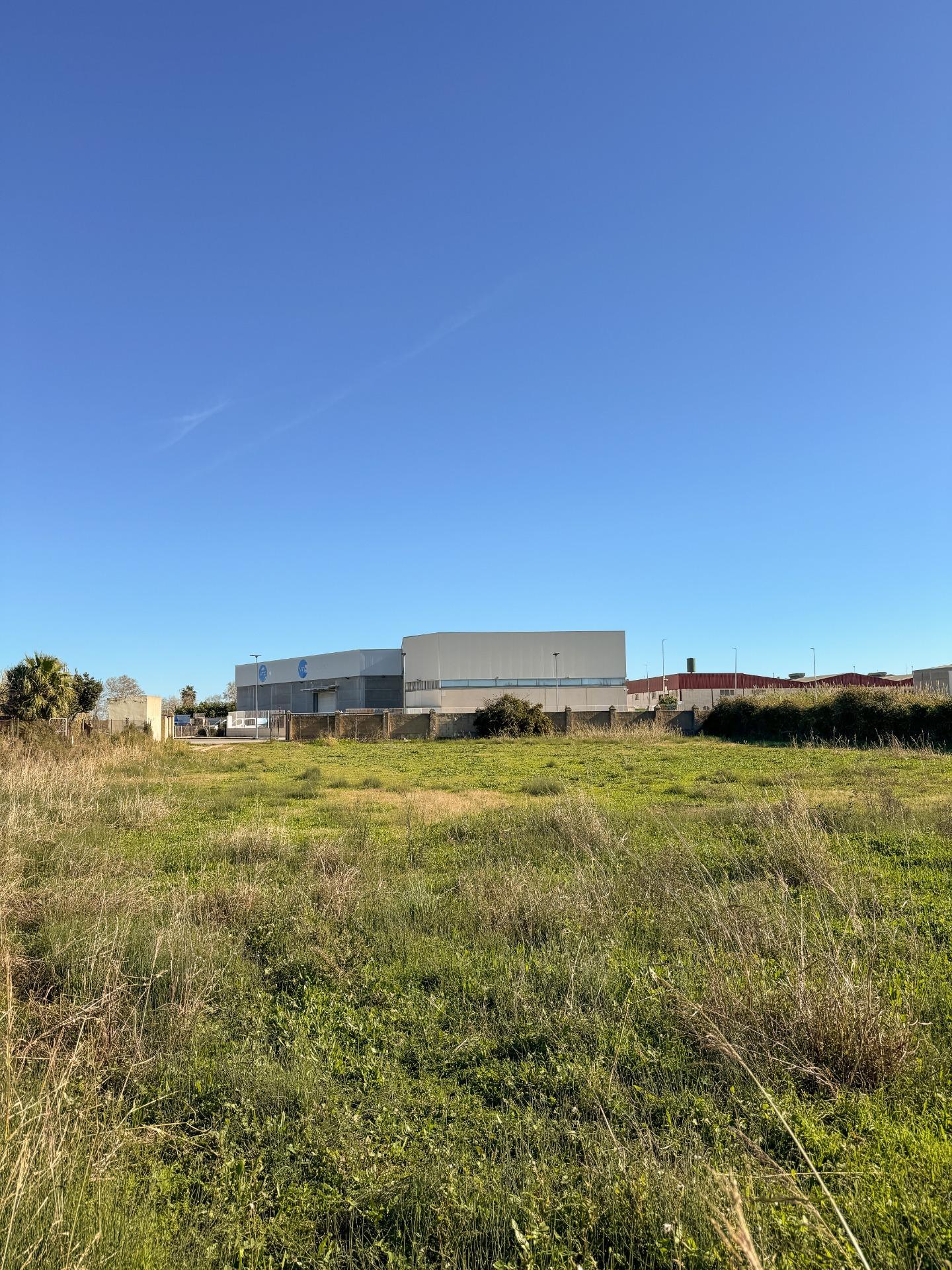 Fincas y solares-Venta-Albalat de la Ribera-2153069-Foto-22