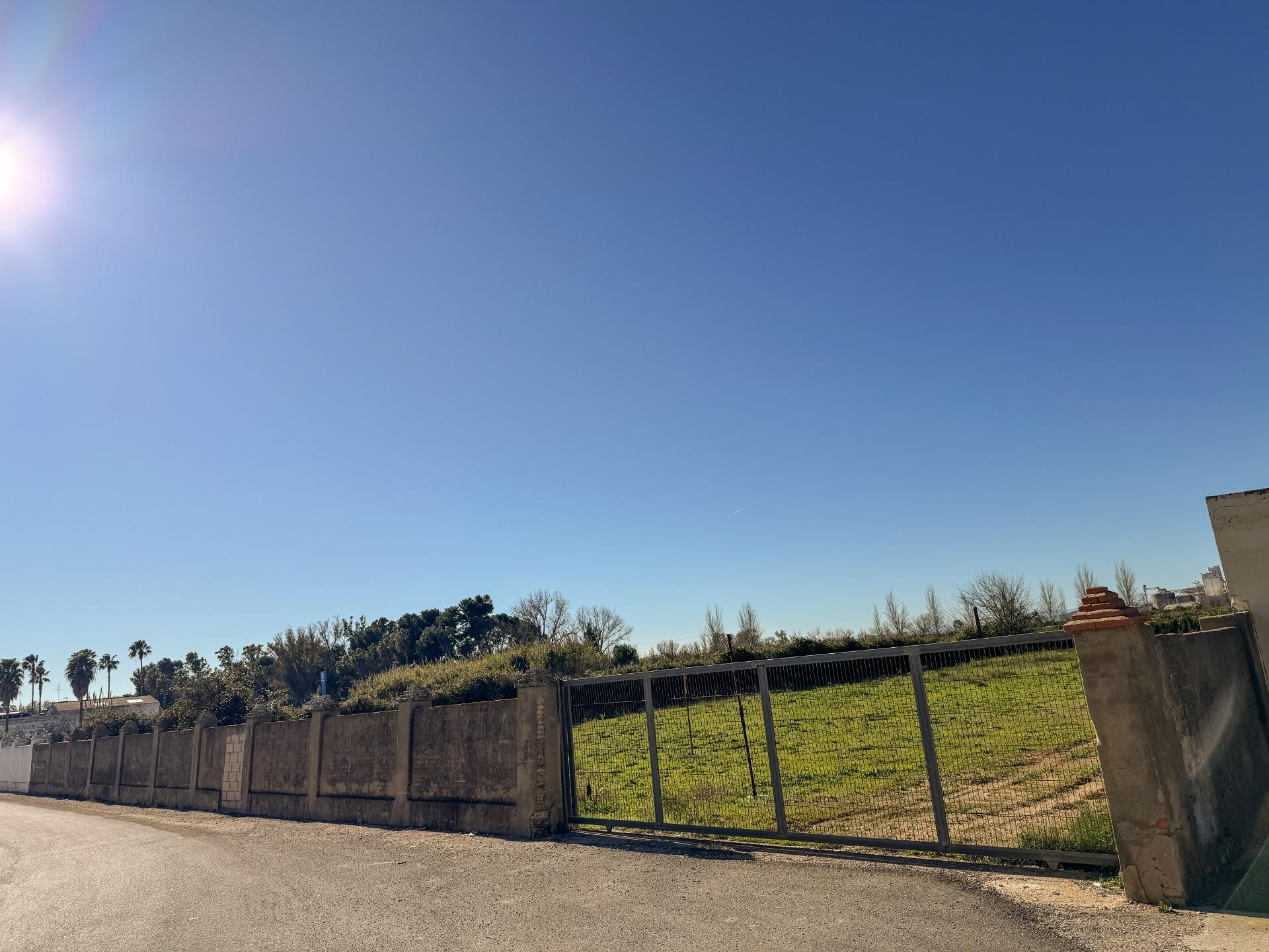 Fincas y solares-Venta-Albalat de la Ribera-2153069-Foto-27