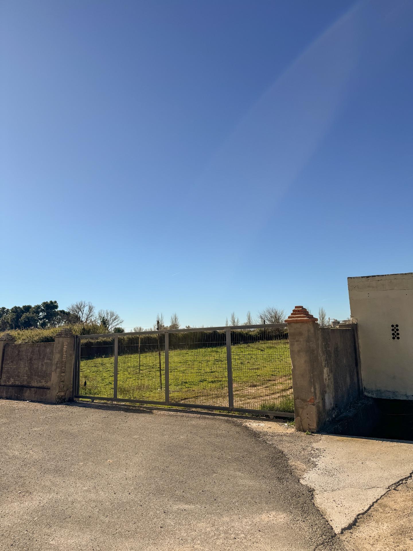 Fincas y solares-Venta-Albalat de la Ribera-2153069-Foto-28