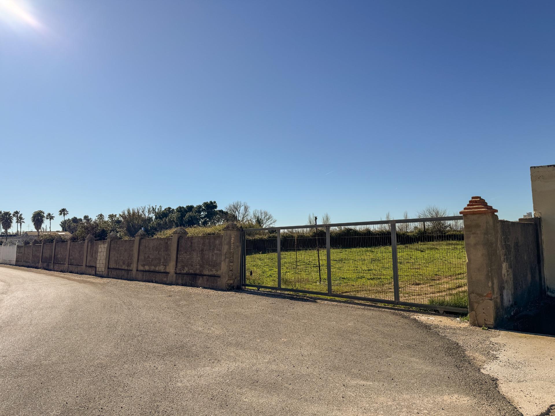 Fincas y solares-Venta-Albalat de la Ribera-2153069-Foto-26