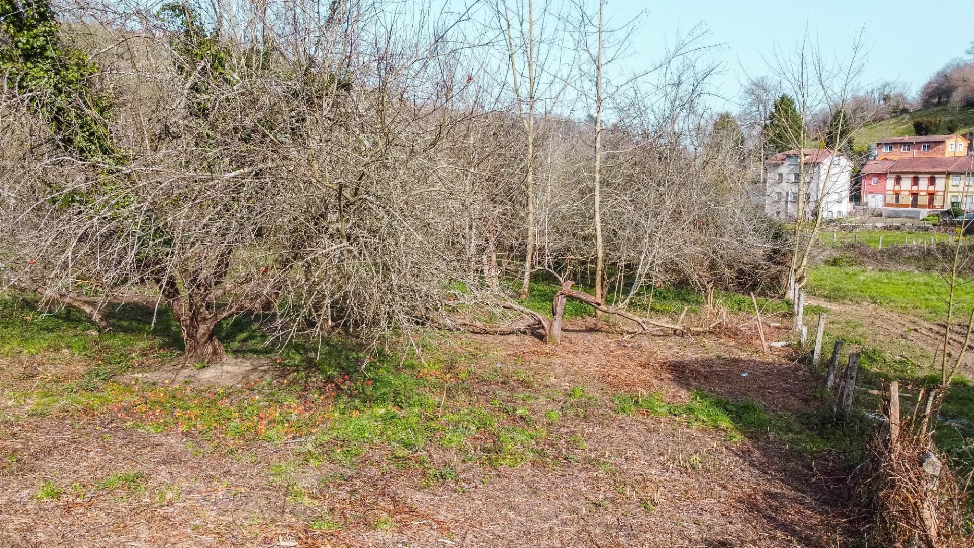 Fincas y solares-Venta-Bimenes-2153081-Foto-18