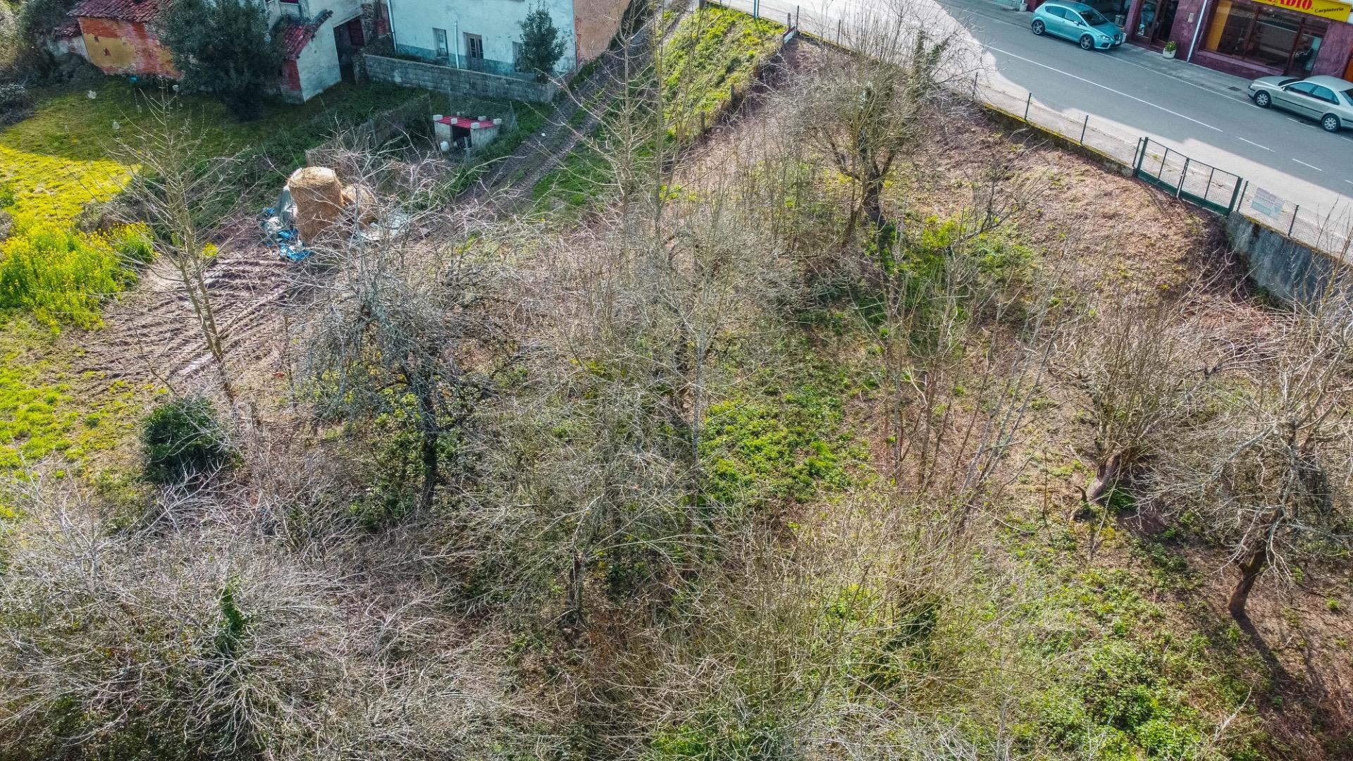 Fincas y solares-Venta-Bimenes-2153081-Foto-20