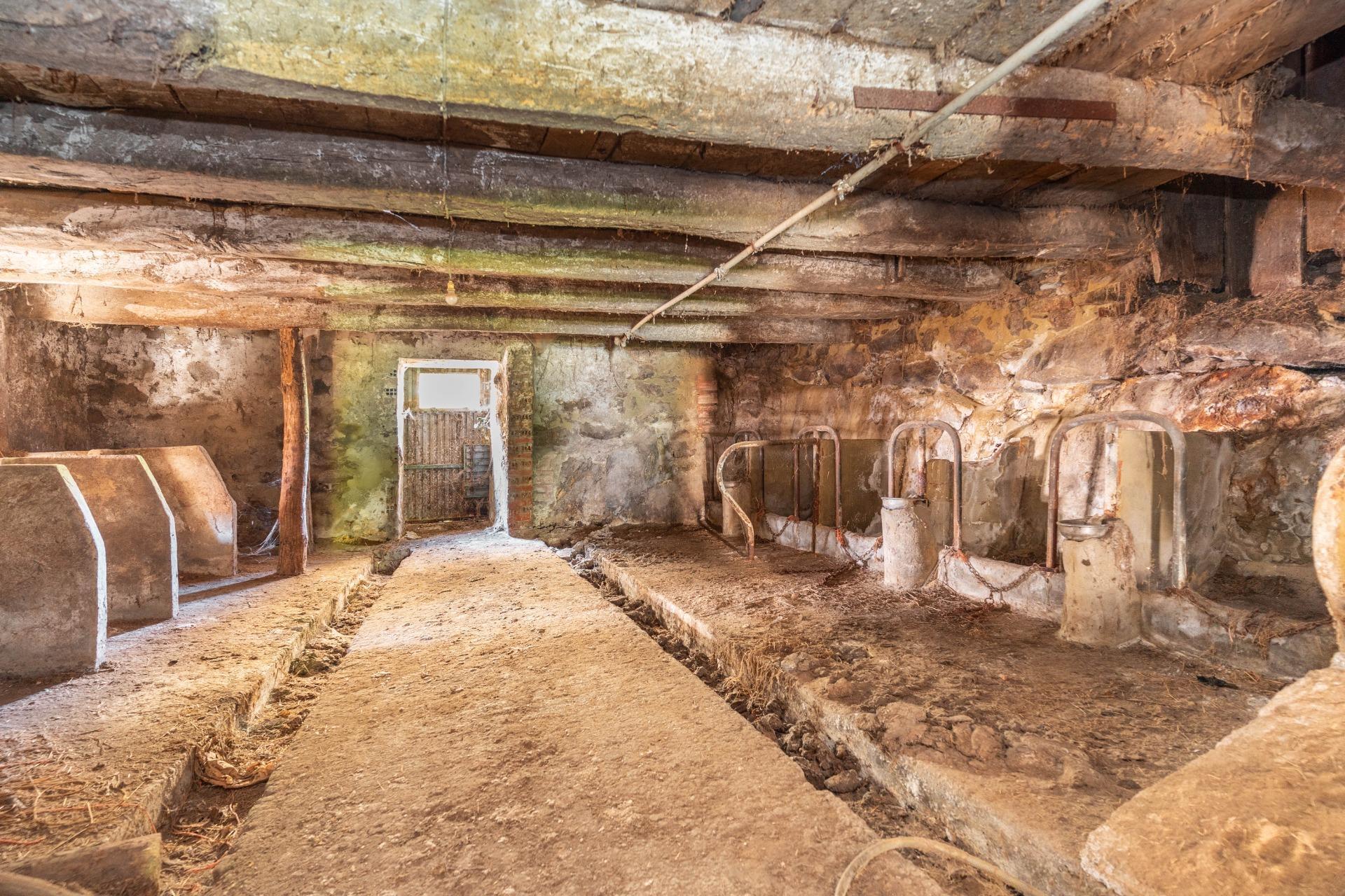 Pisos-Venta-Allande-2153087-Foto-9