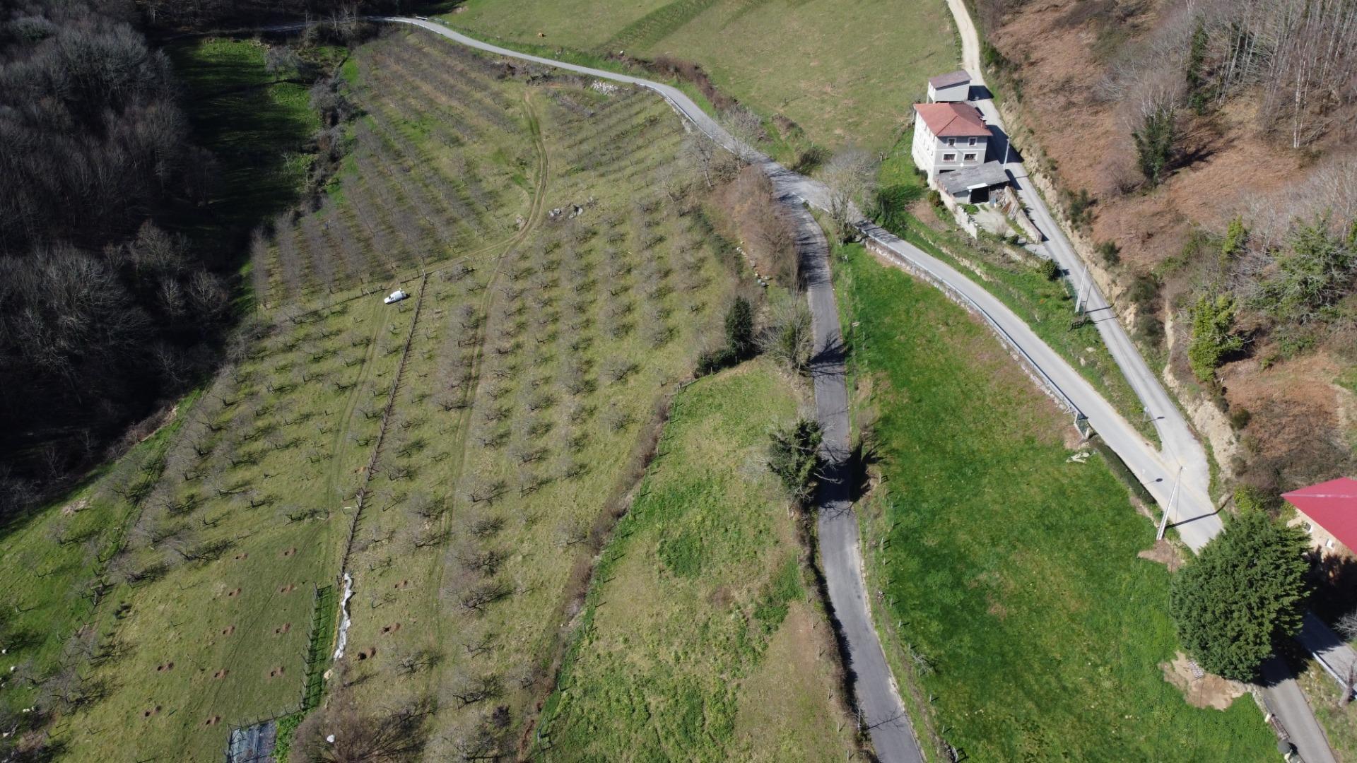 Pisos-Venta-Allande-2153087-Foto-46