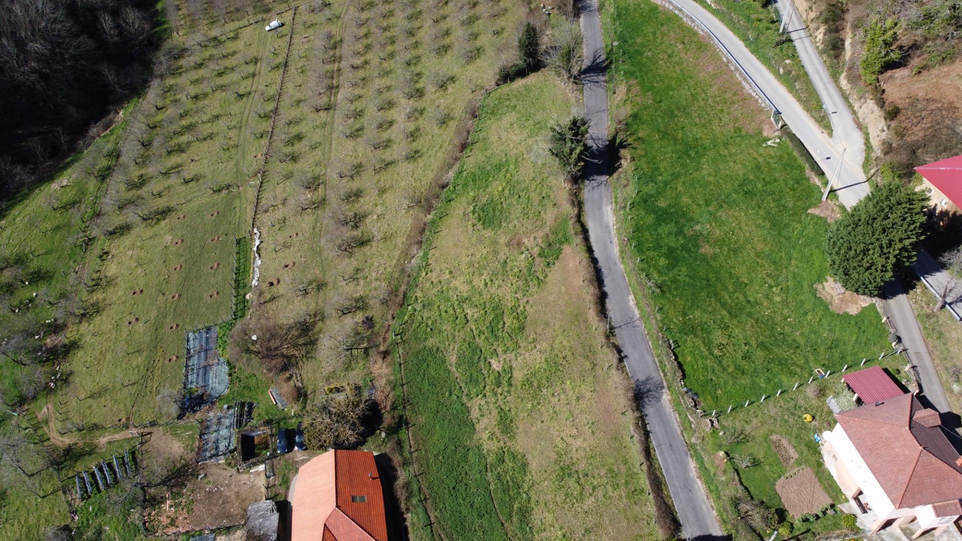 Pisos-Venta-Allande-2153087-Foto-45