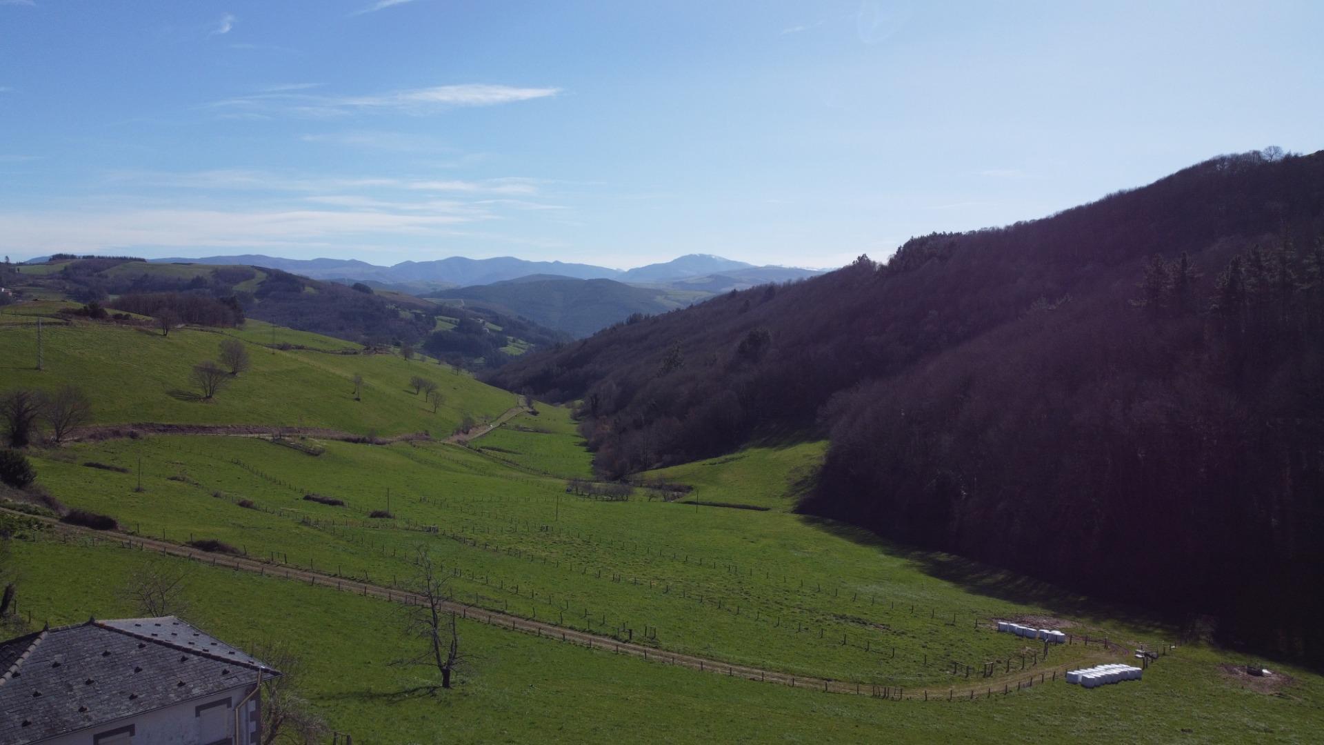 Pisos-Venta-Allande-2153087-Foto-54