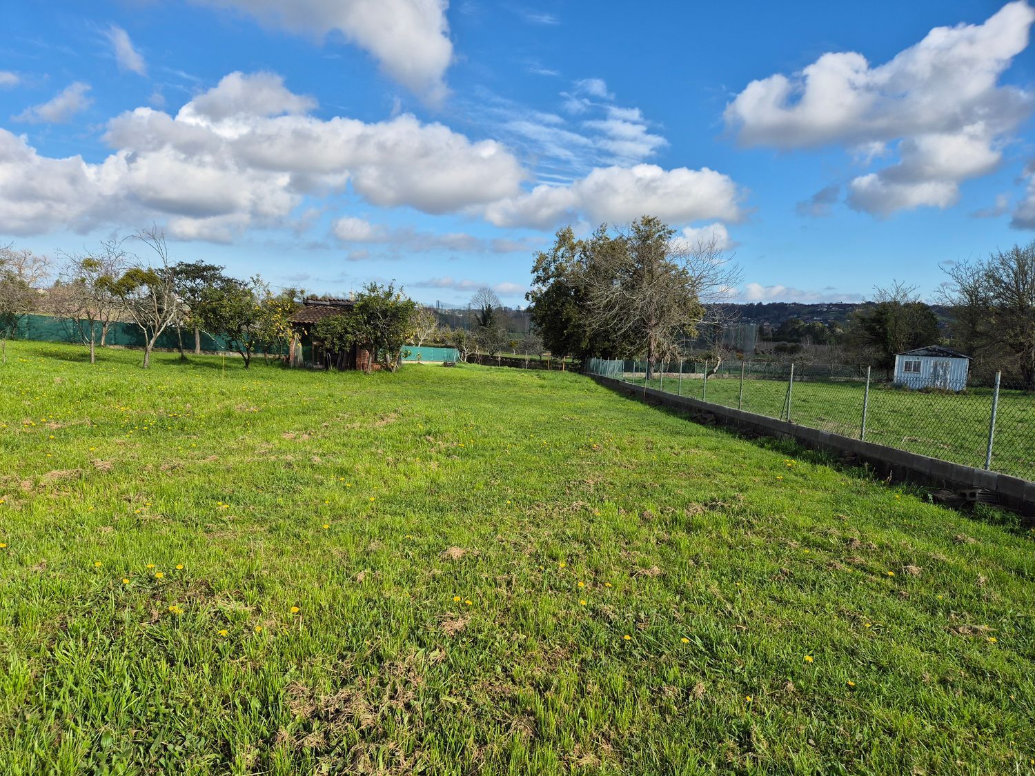 Fincas y solares-Venta-GijÃ³n-2153111-Foto-5