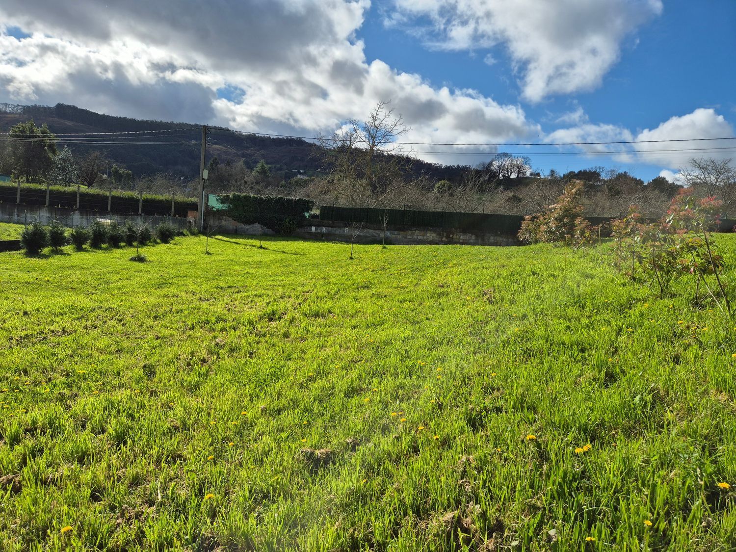 Fincas y solares-Venta-GijÃ³n-2153111-Foto-8